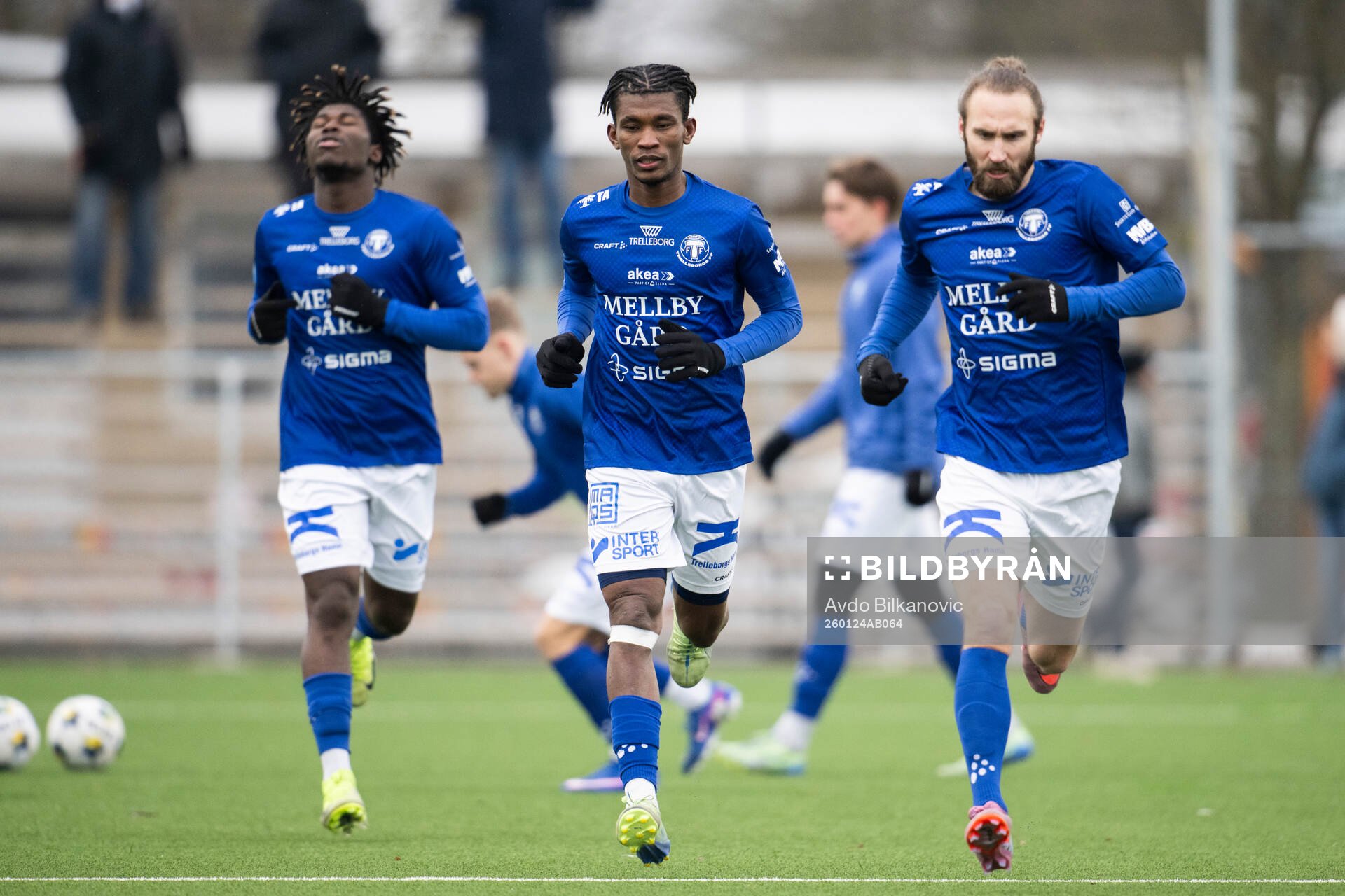 Trelleborgs Prince Balde