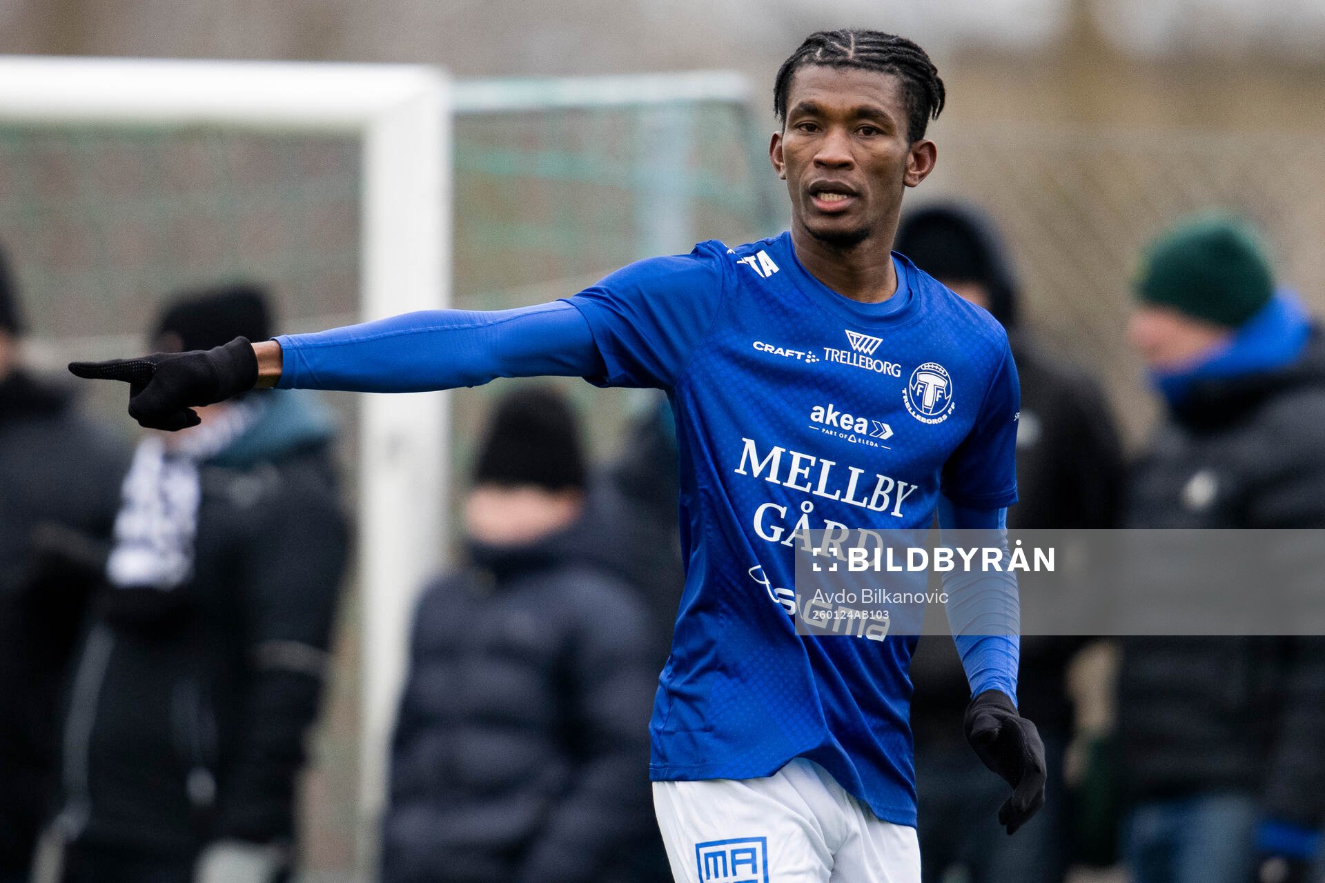 Trelleborgs Prince Balde