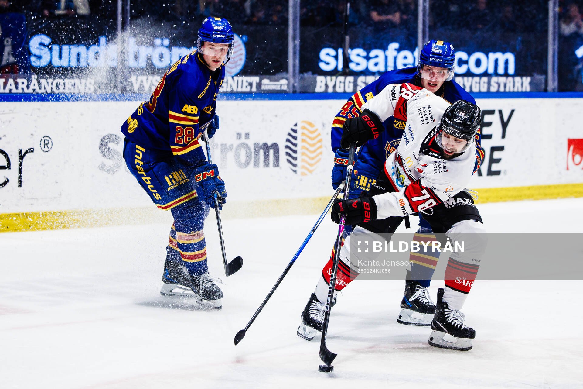 Malmö Redhawks Robin Hanzl