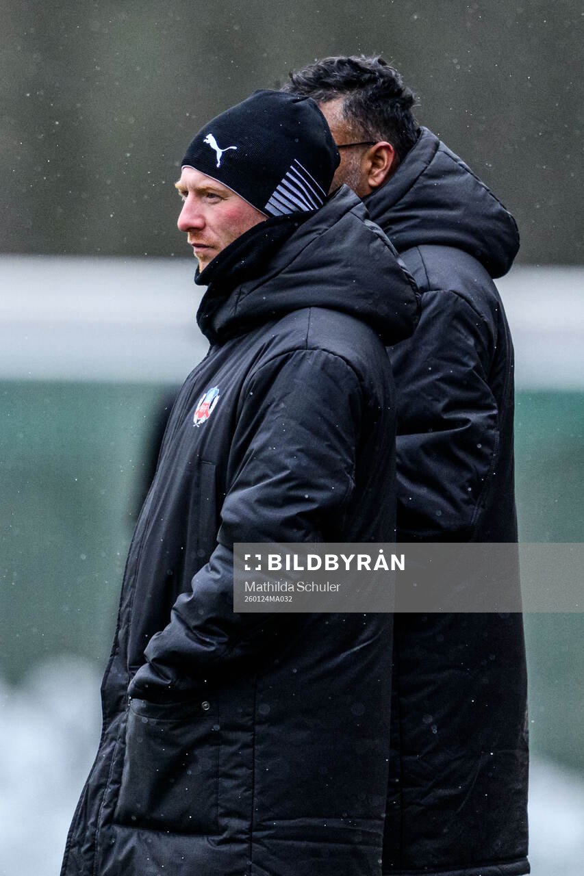 Helsingborgs manager Stevie Grieve