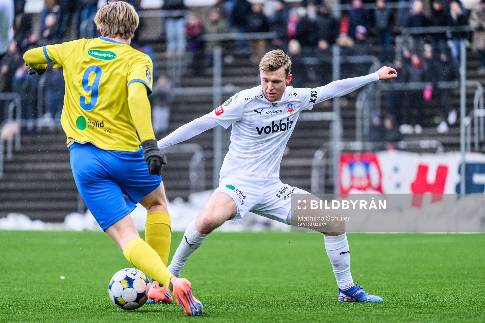 Helsingborgs William Westerlund