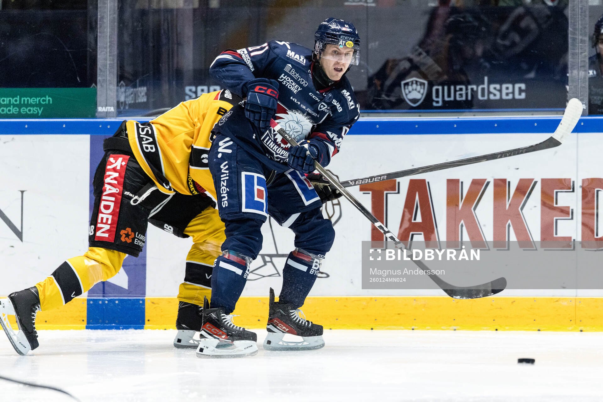 Linköpings Markus Ljungh