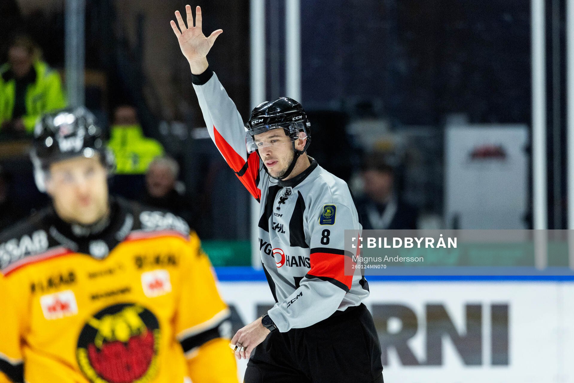 Domare Oscar Niklasson