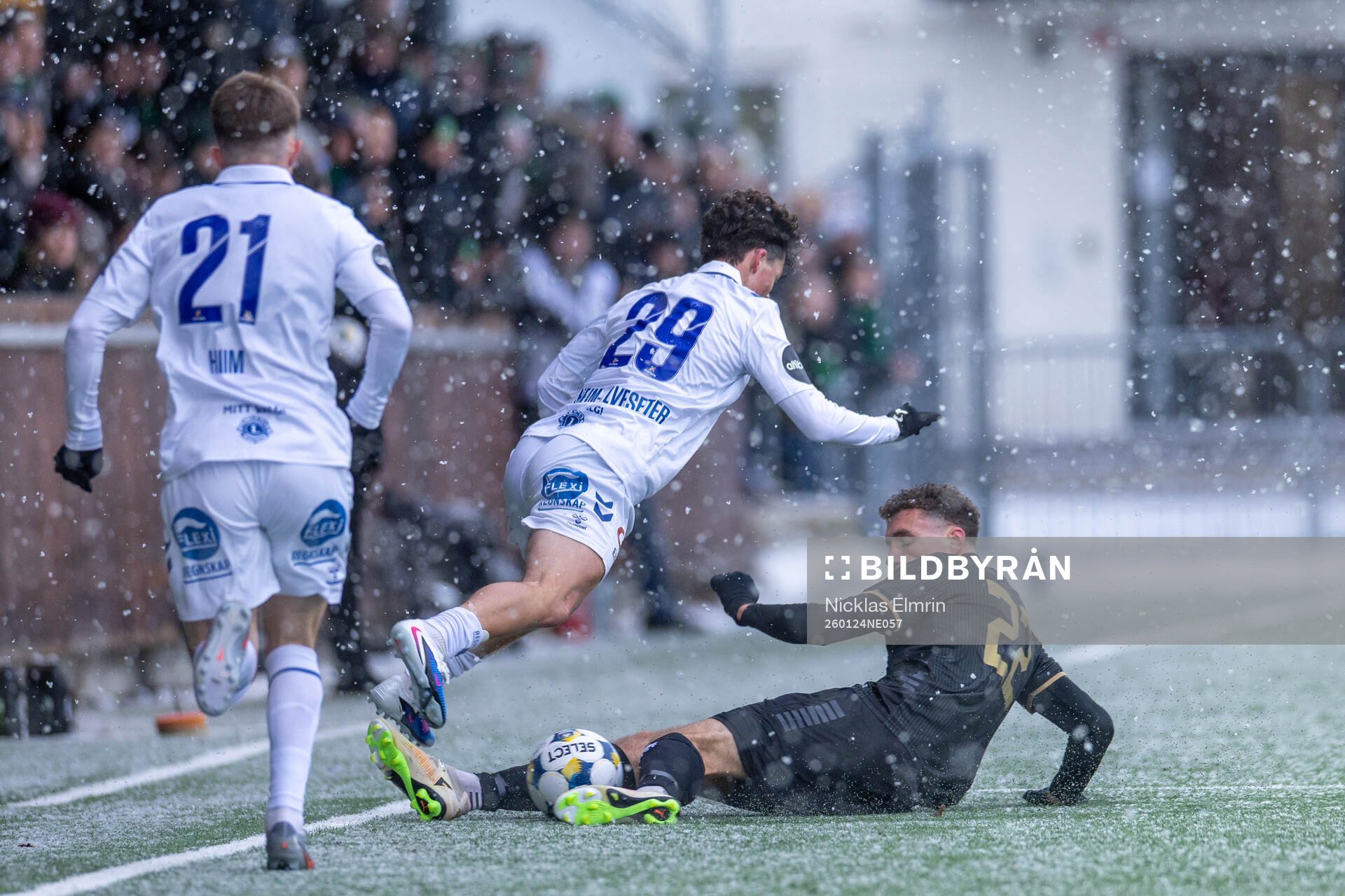 GAIS Anes Cardaklija