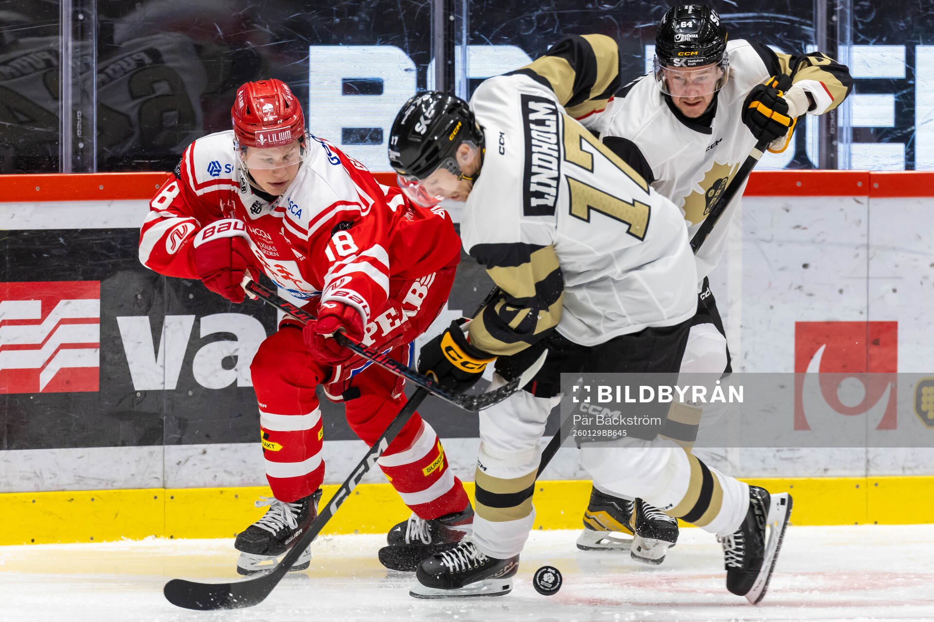 Timrås Eddie Genborg och Skellefteås Pär Lindholm