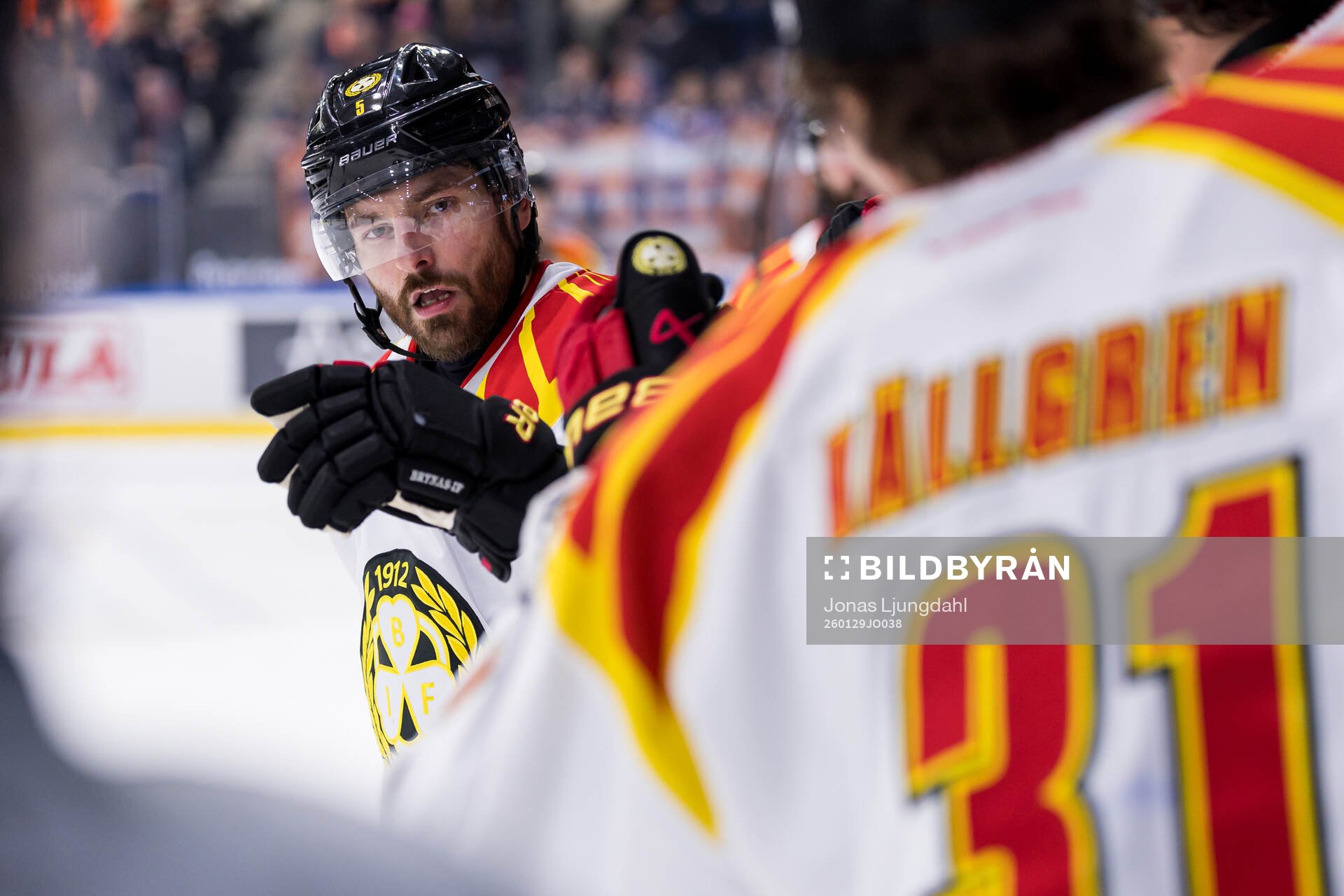 Brynäs Michal Kempny jublar