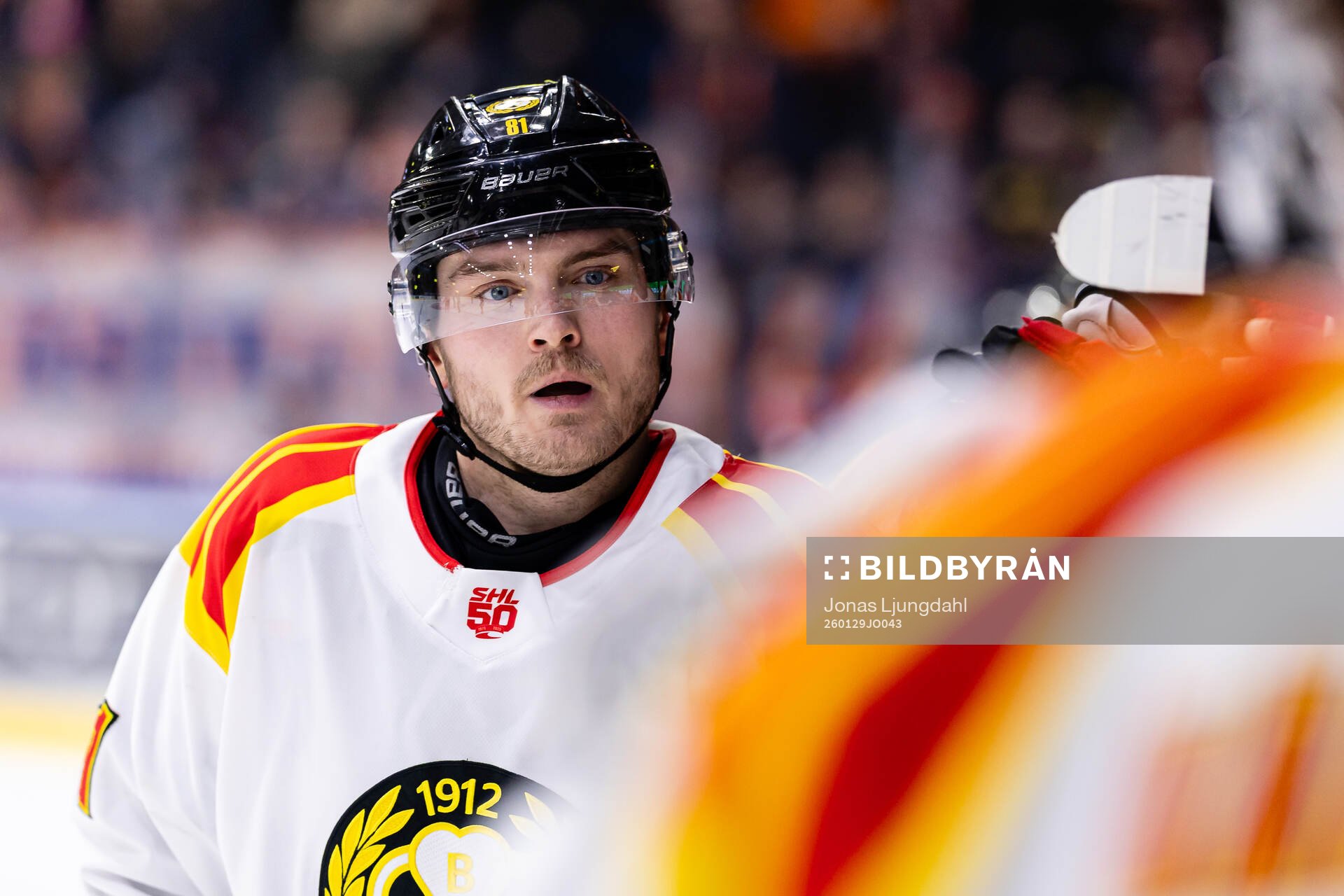 Brynäs Kieffer Bellows jublar
