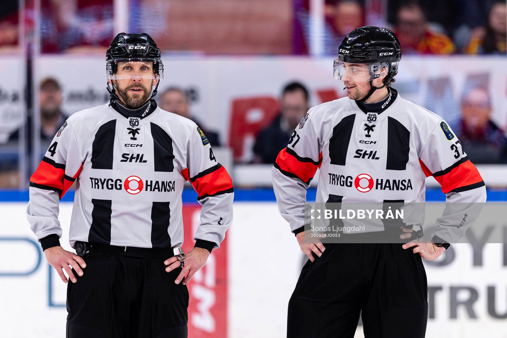 domare Marcus Linde och domare Johan Wedin