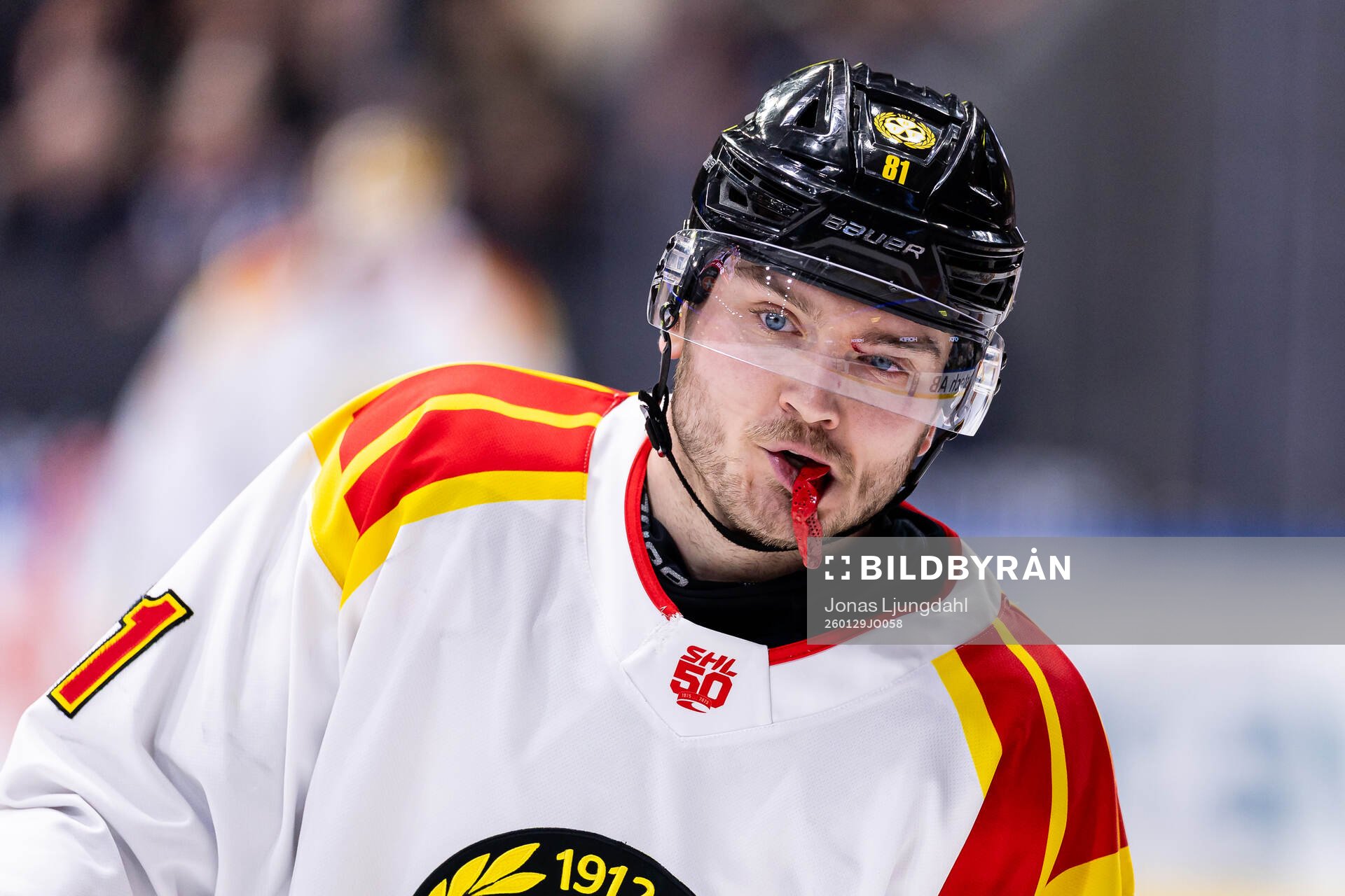 Brynäs Kieffer Bellows
