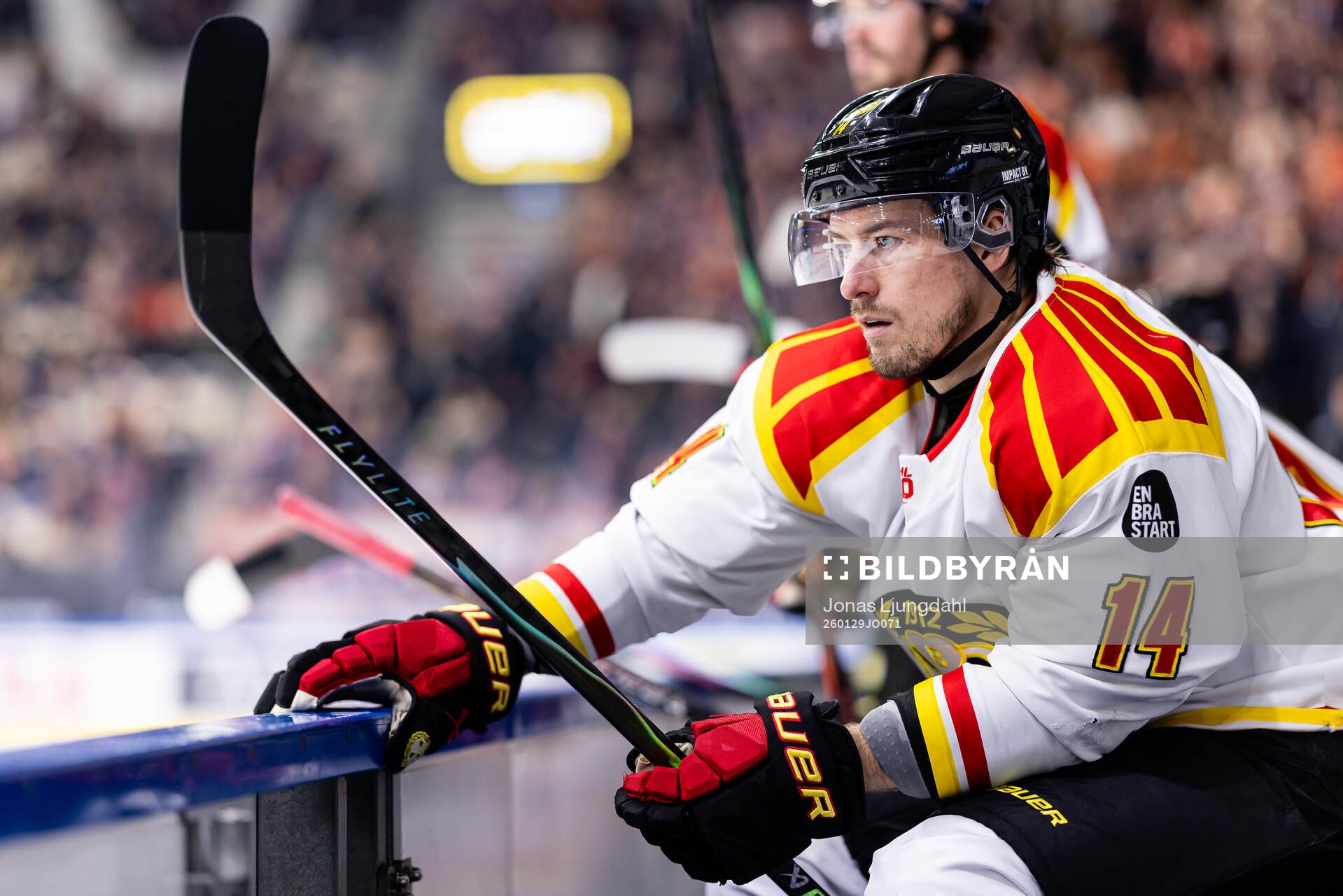Brynäs Robert Hägg