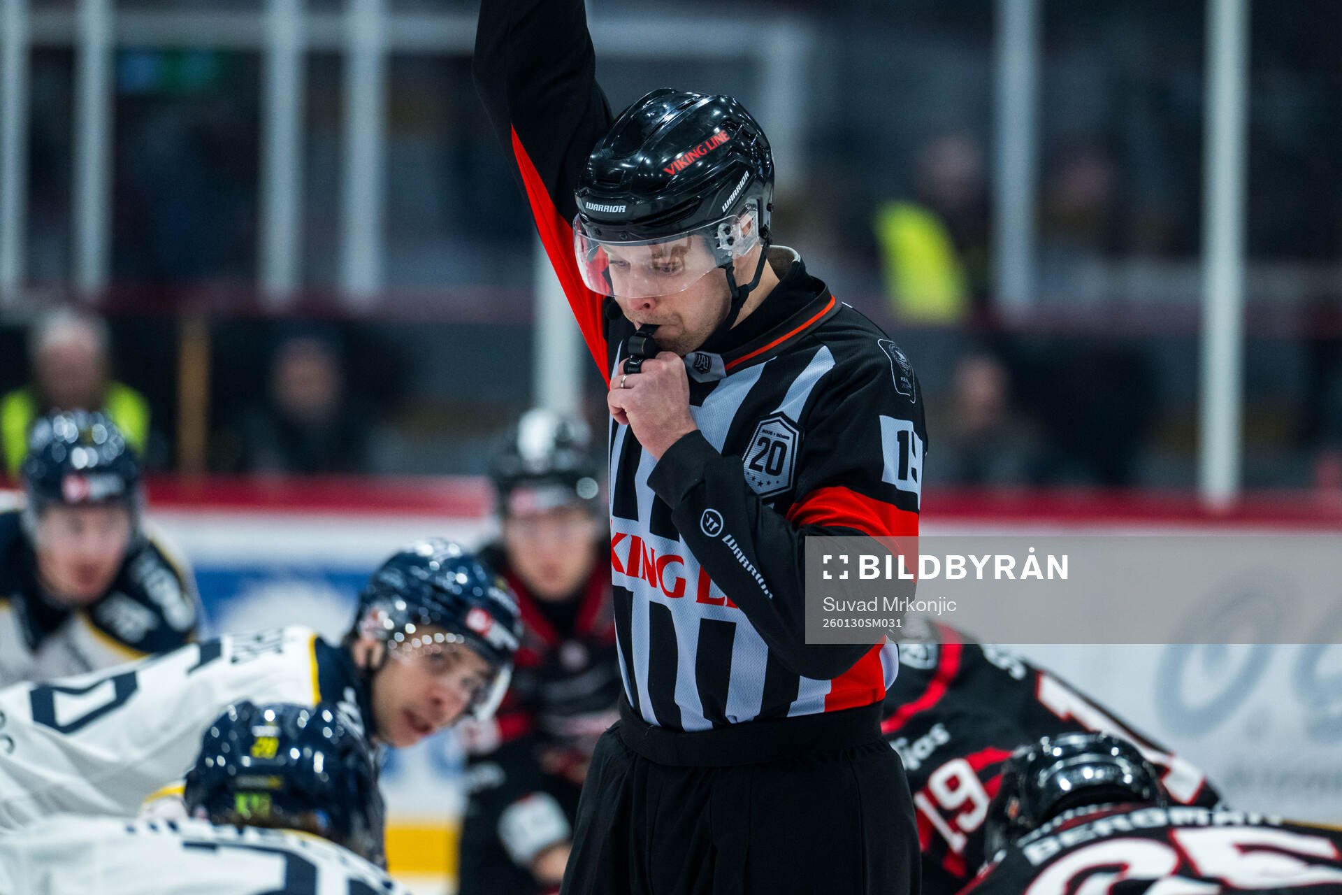 Domare Robin Forslund