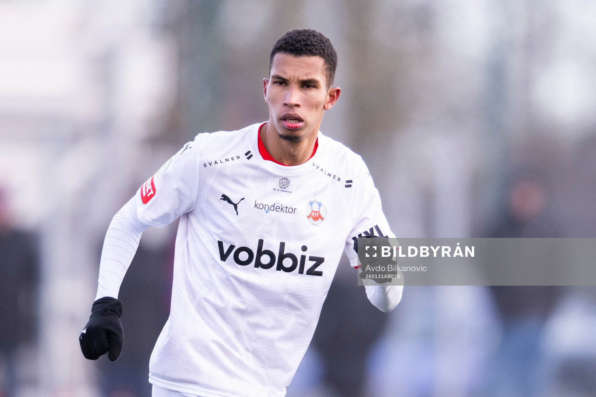Helsingborgs Harol Romana
