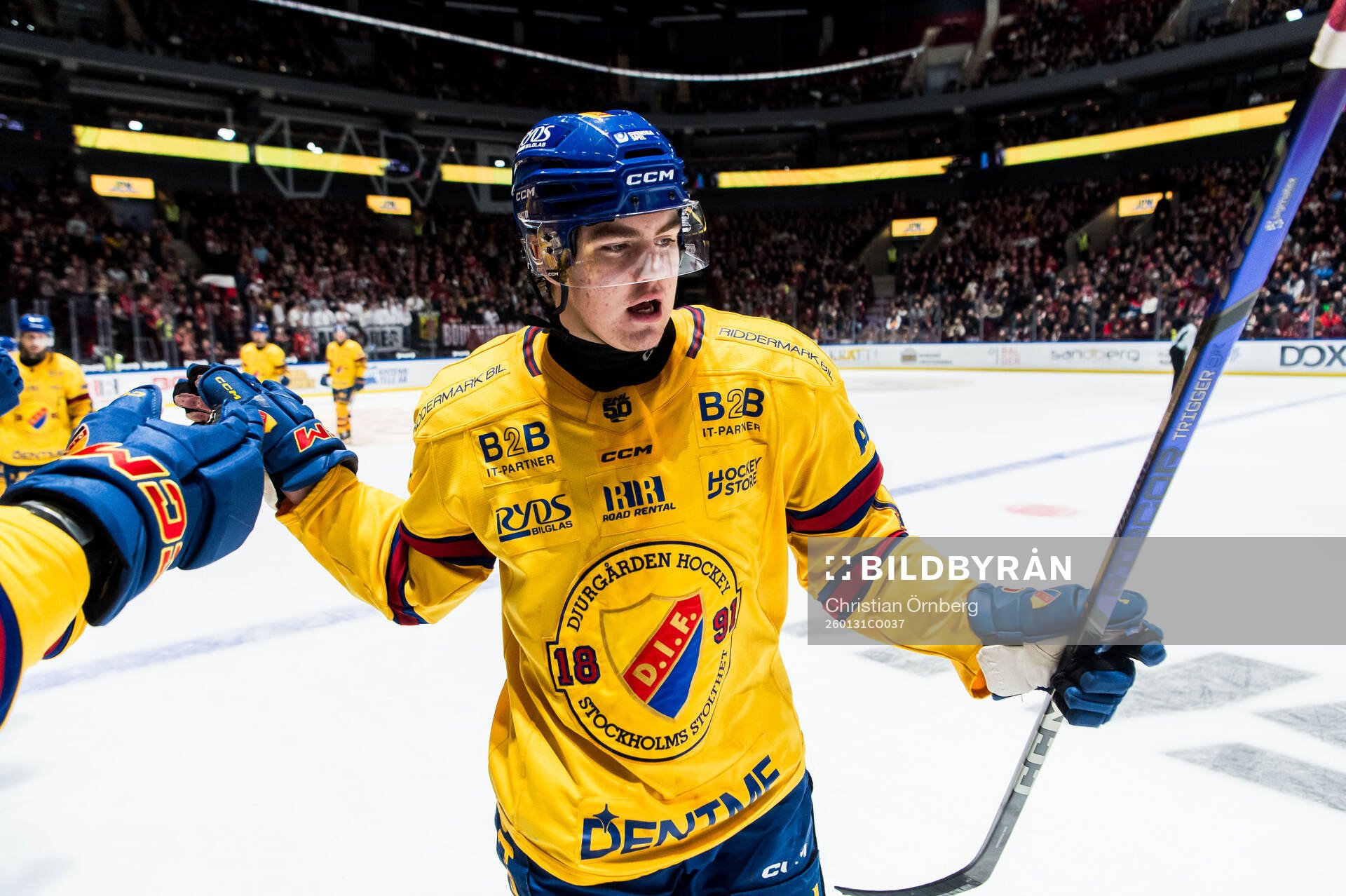 Djurgårdens Anton Frondell jublar