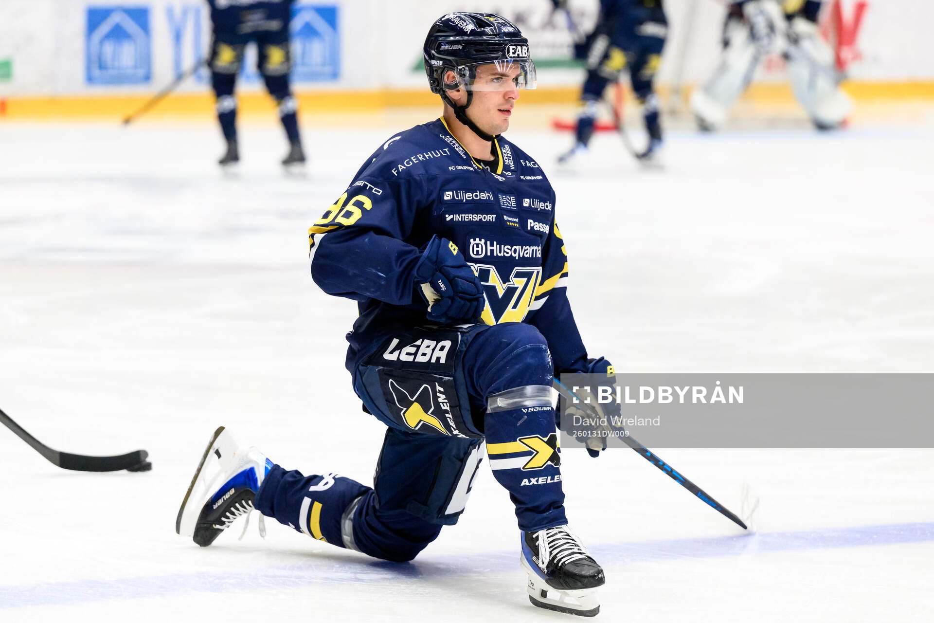 HV71s Nikola Pasic