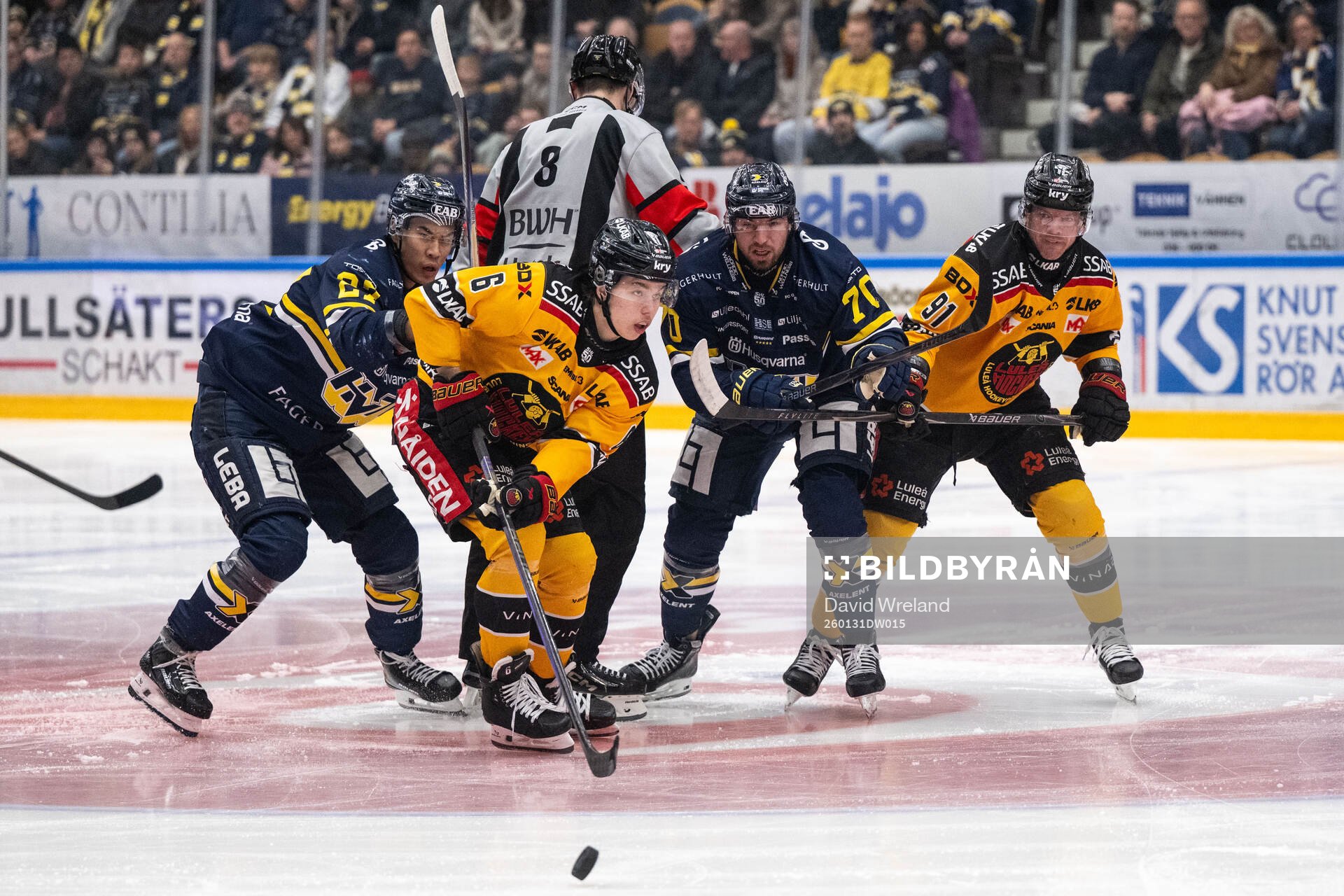 HV71s Lukas Rousek och Luleås Isac Hedqvist