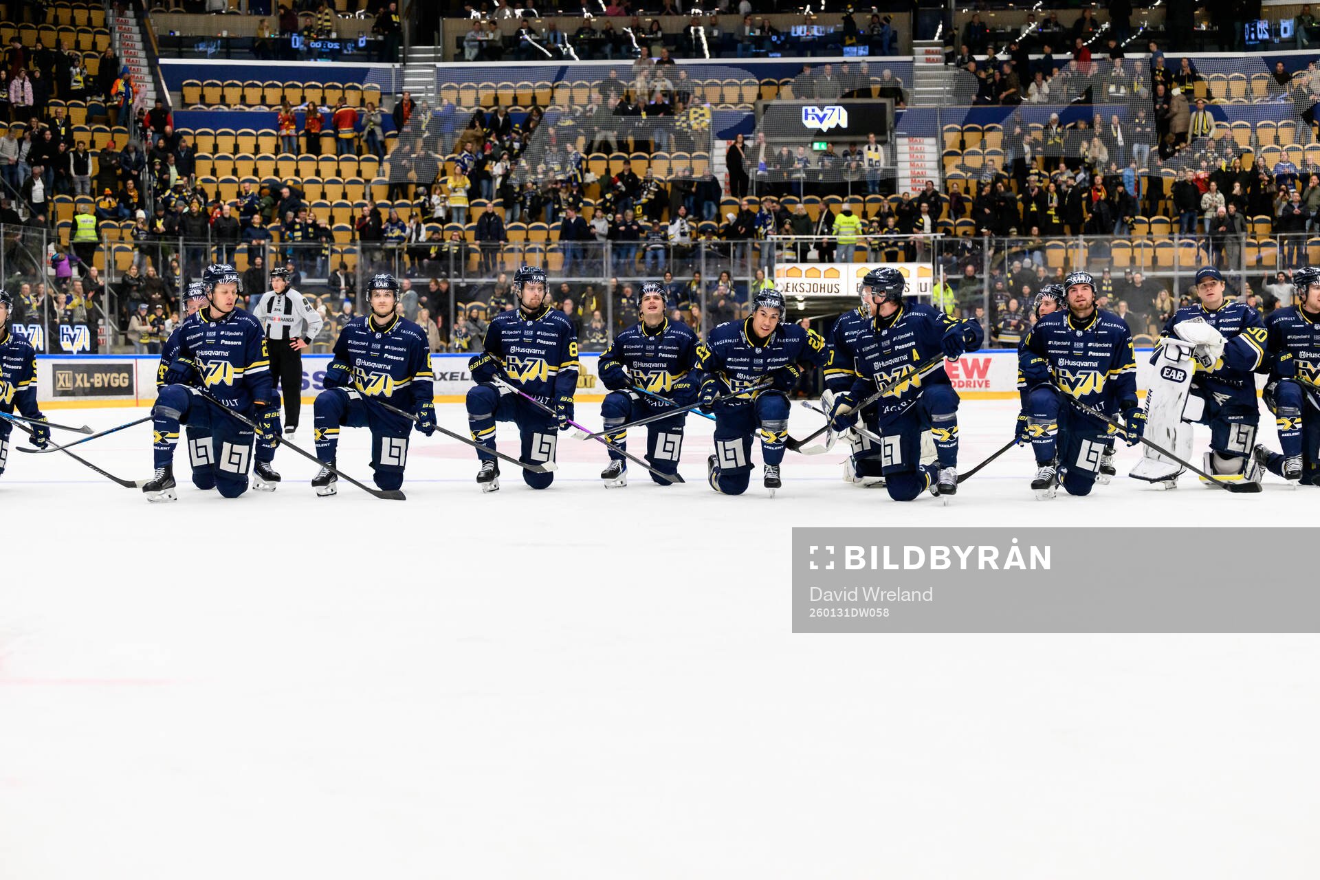 HV71s spelare jublar