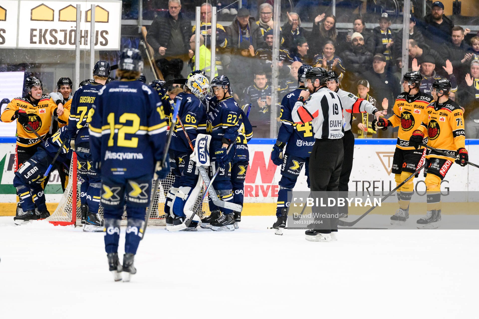 HV71s spelare jublar
