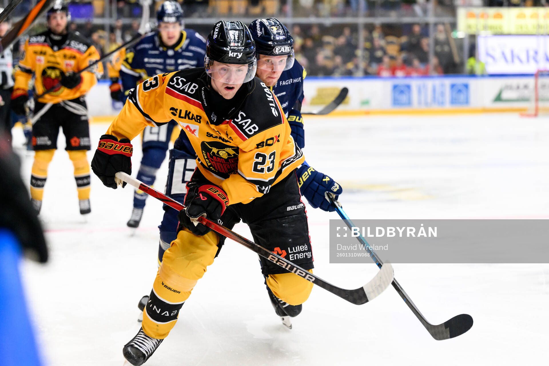 Luleås Jesper Sellgren och HV71s Oskar Stål-Lyrenäs