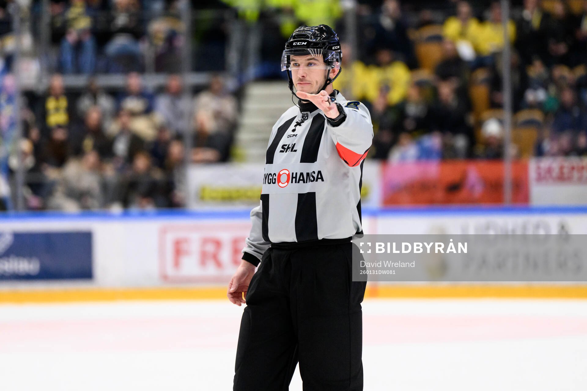 Domare Oscar Niklasson