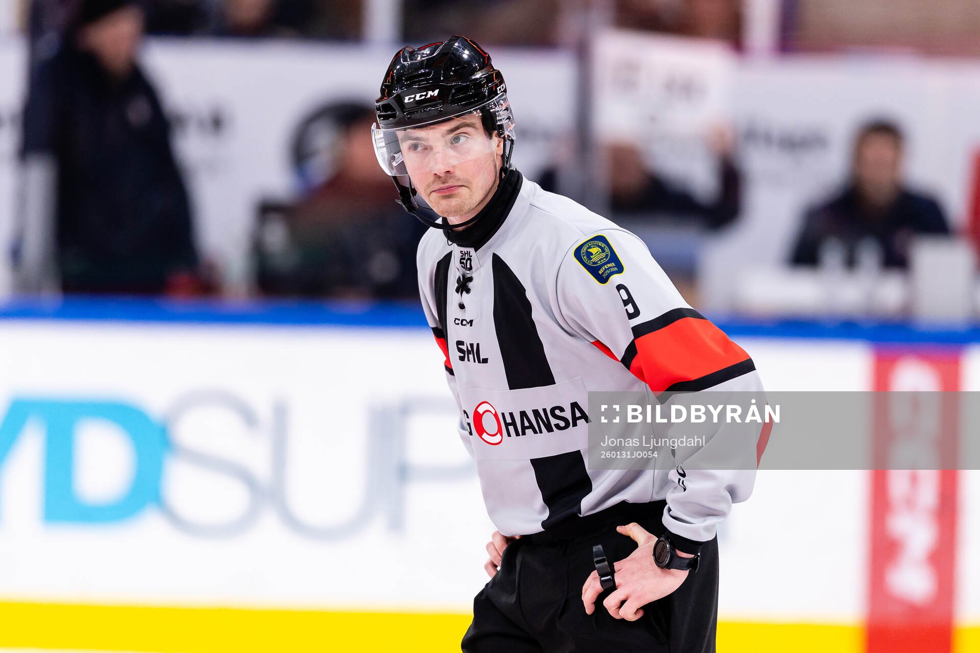 Domare Filip Eriksson