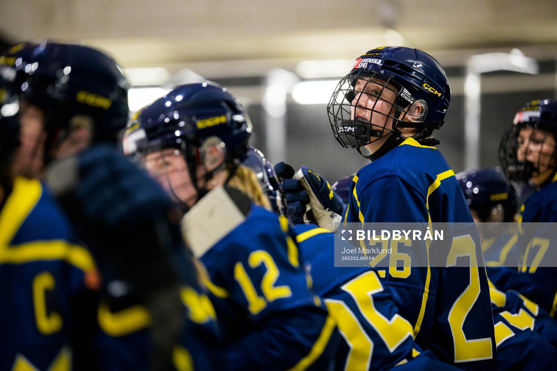 Hanna Olsson of Sweden in a women's international friendly