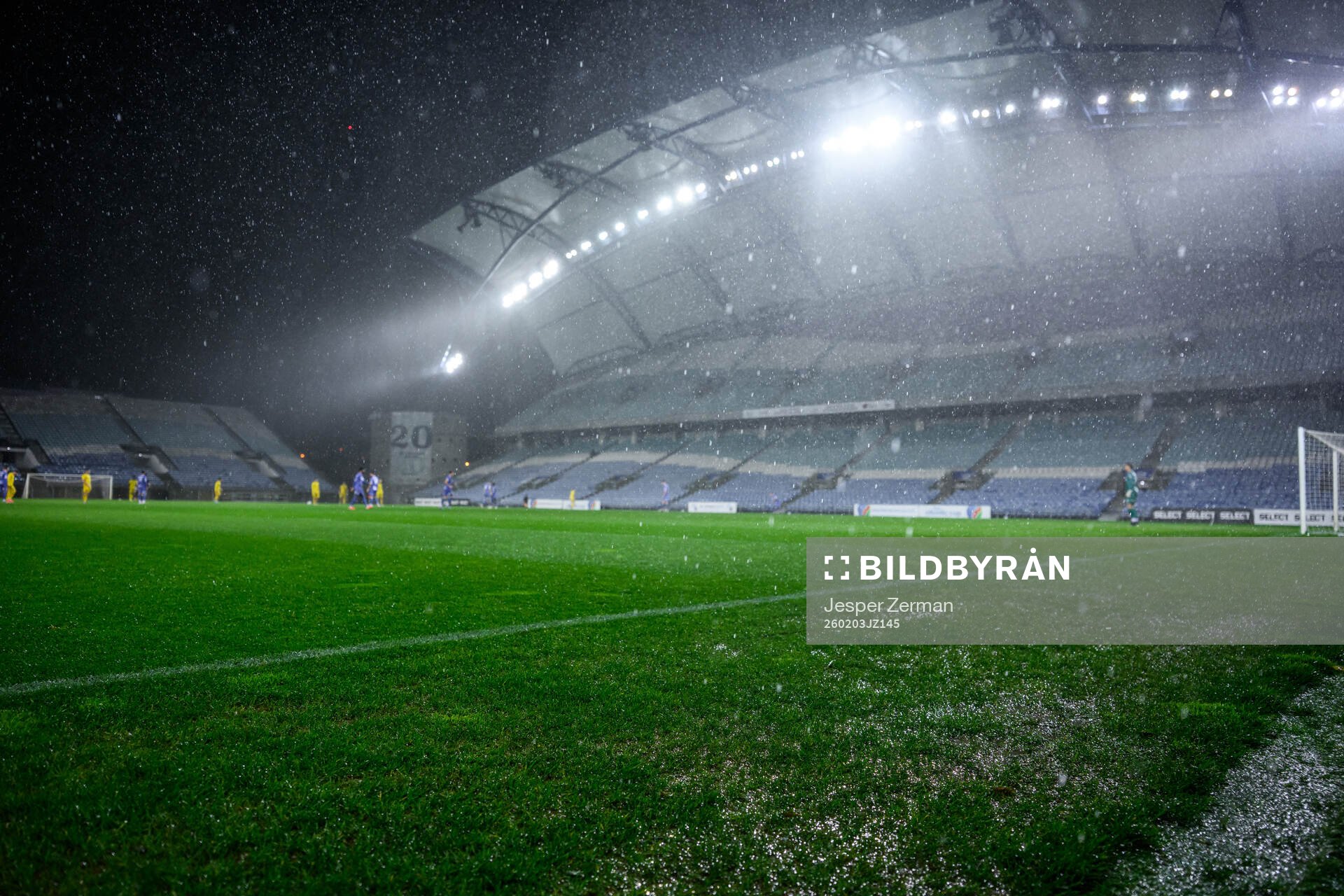 Rain