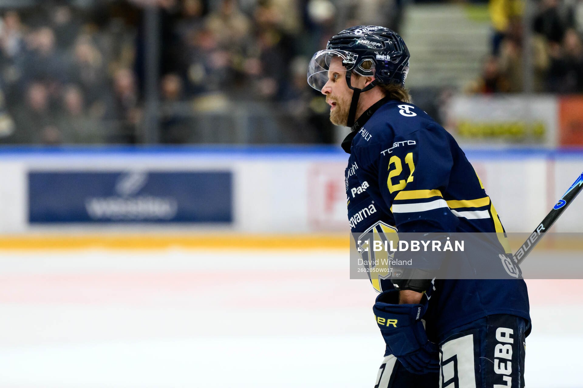 HV71s Mattias Tedenby jublar