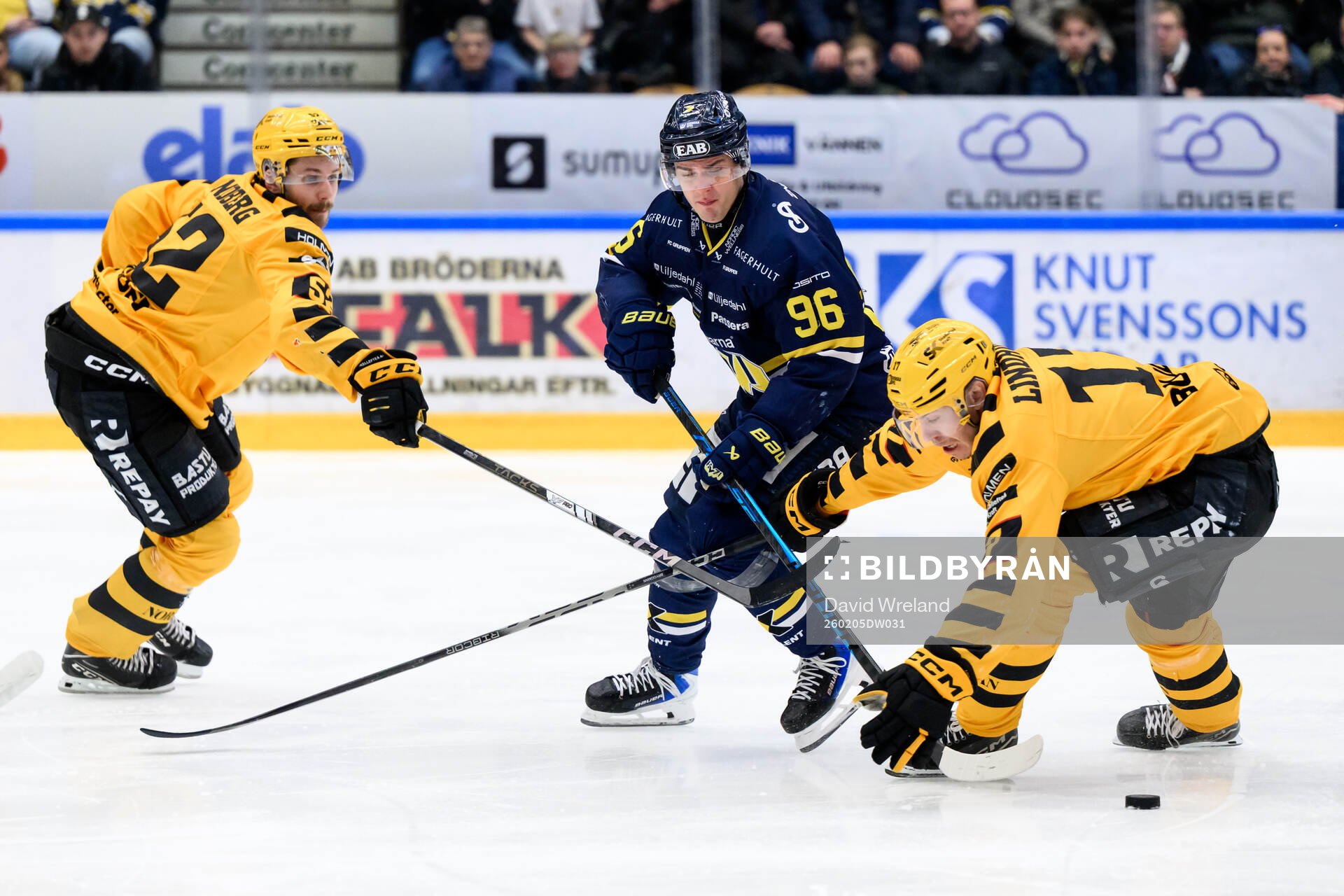 HV71s Nikola Pasic och Skellefteås Frans Haara