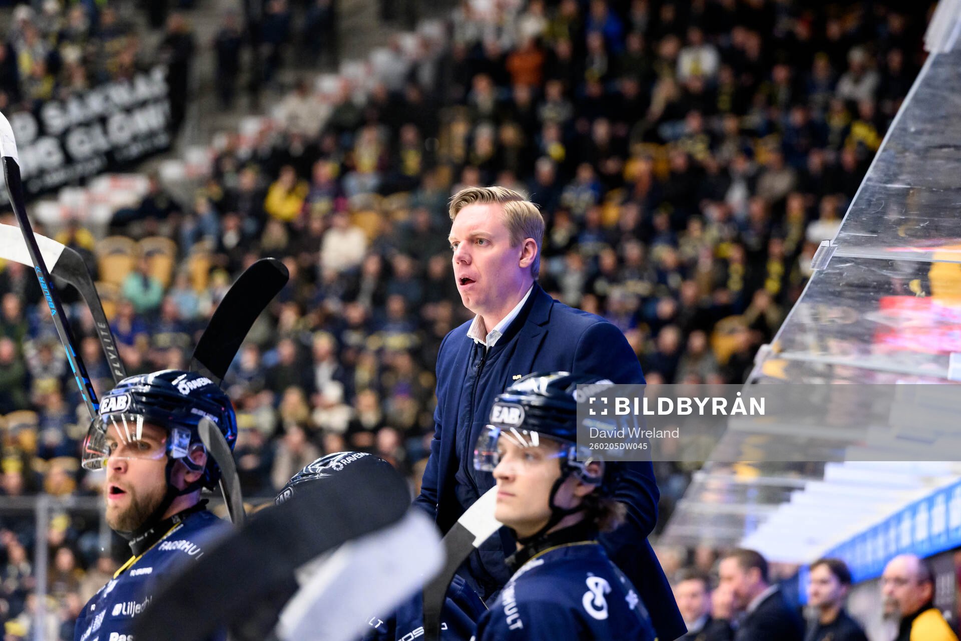 HV71s tränare Anton Blomqvist
