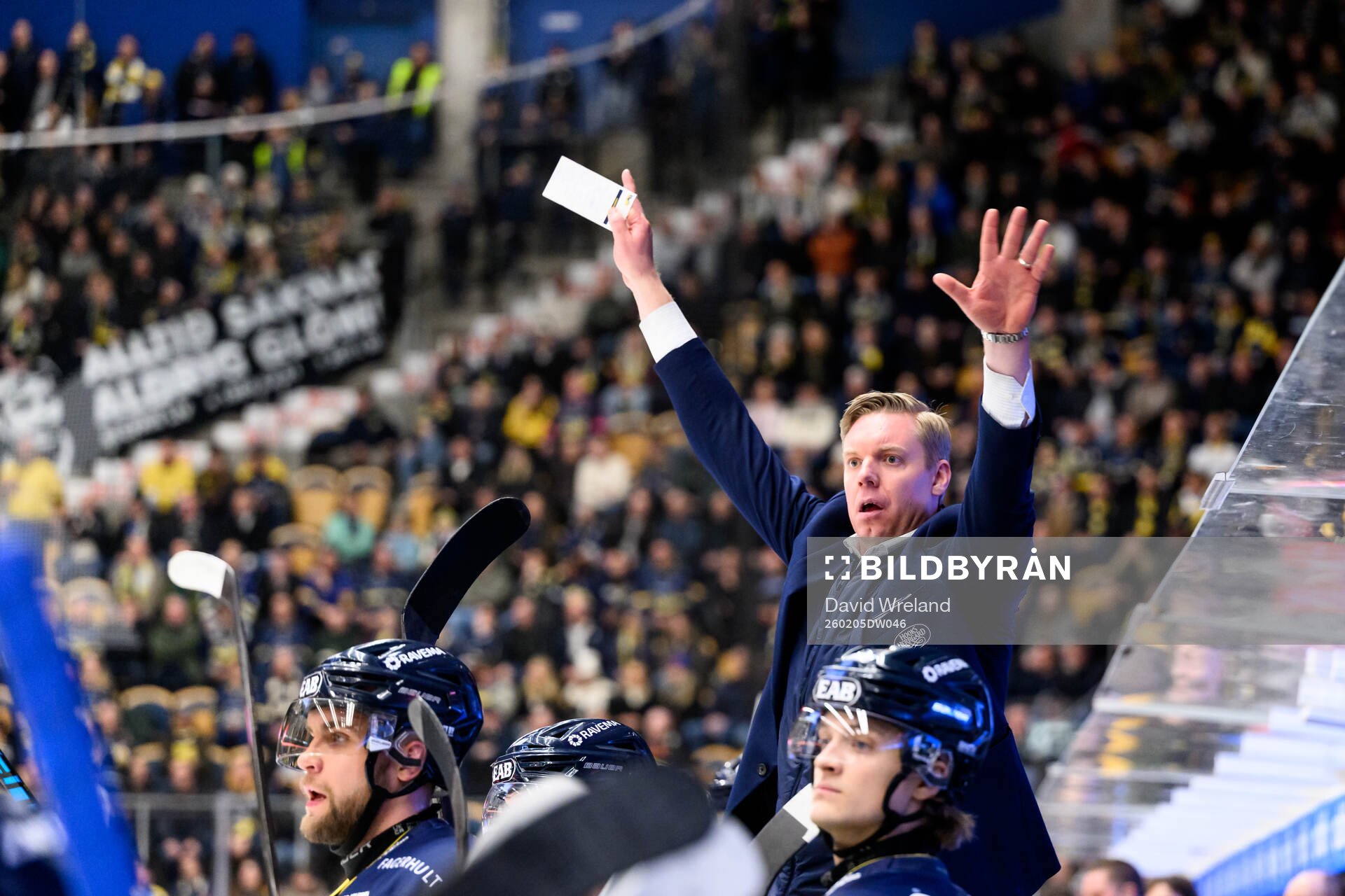 HV71s tränare Anton Blomqvist