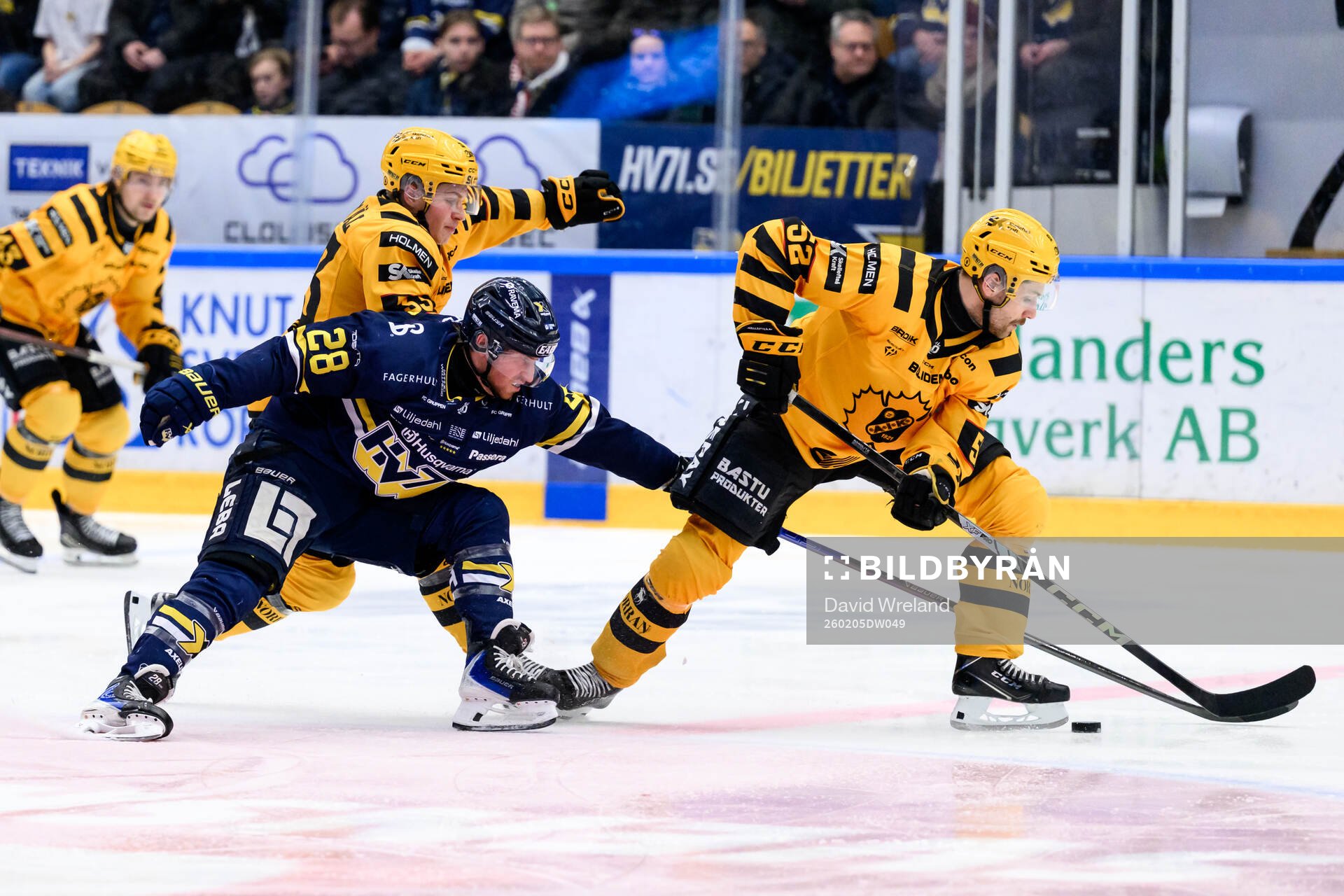HV71s Justin Glenn Kloos och Skellefteås Arvid Lundberg