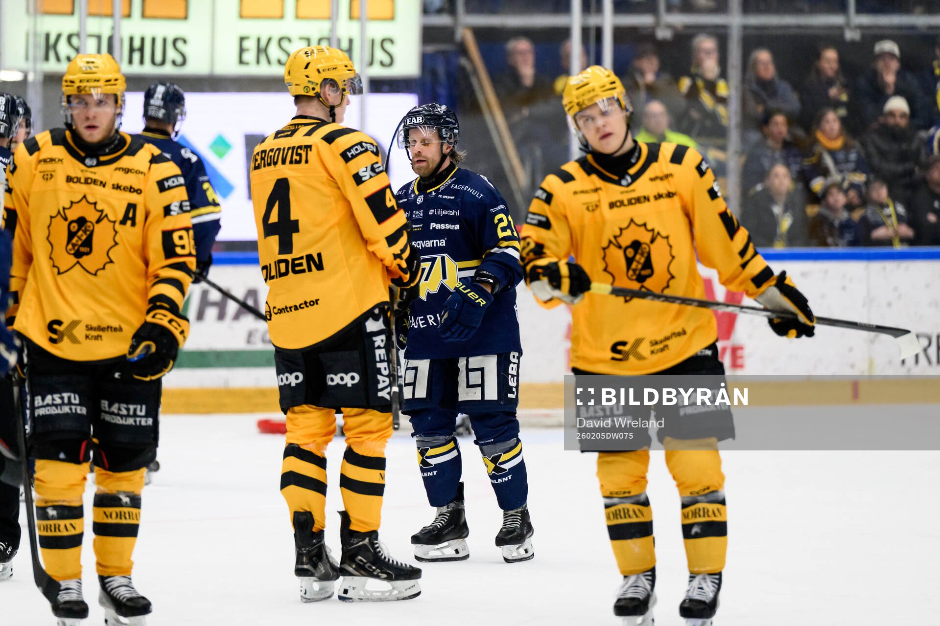 HV71s Mattias Tedenby