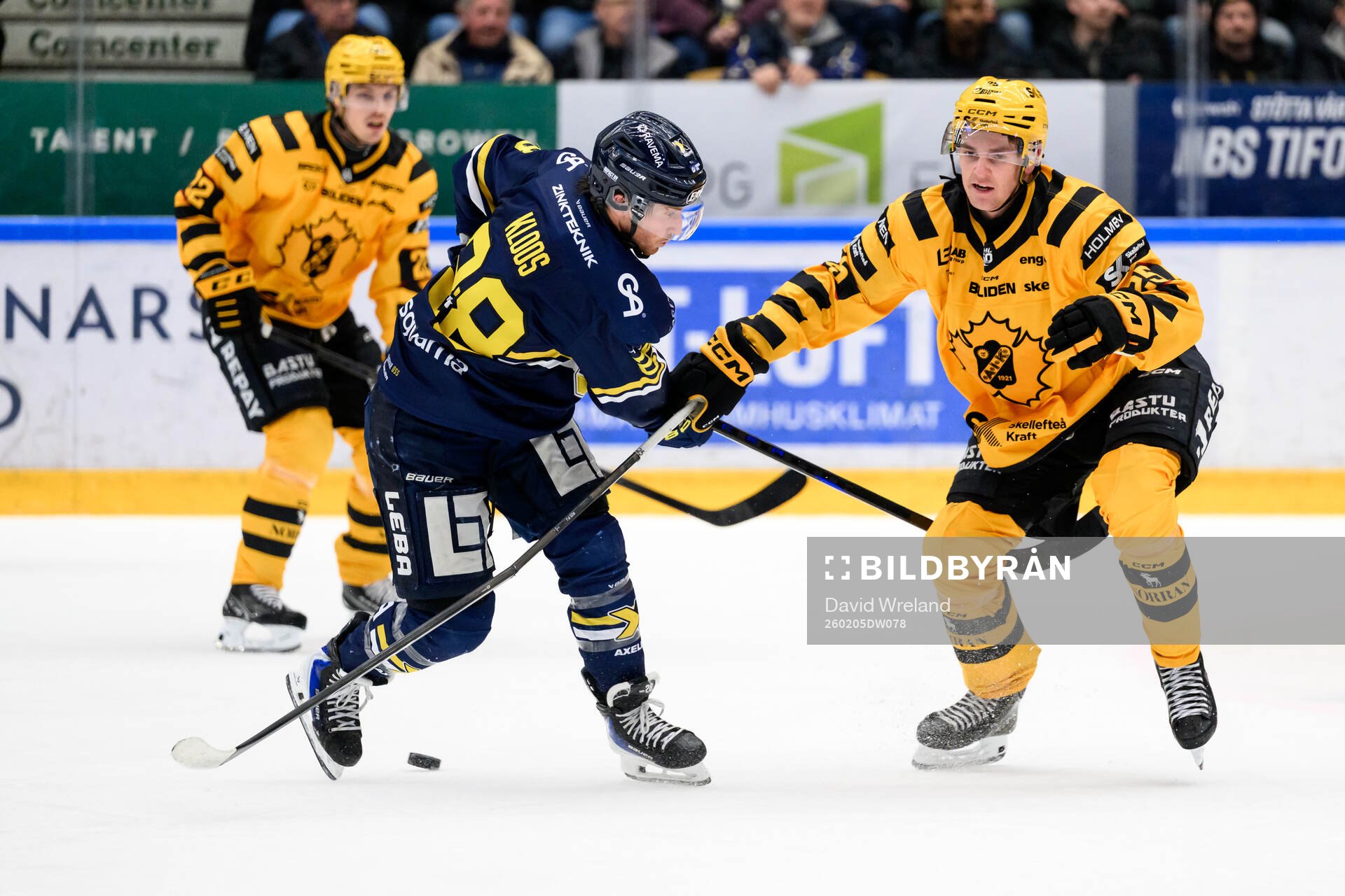 HV71s Justin Glenn Kloos och Skellefteås Pontus Johansson