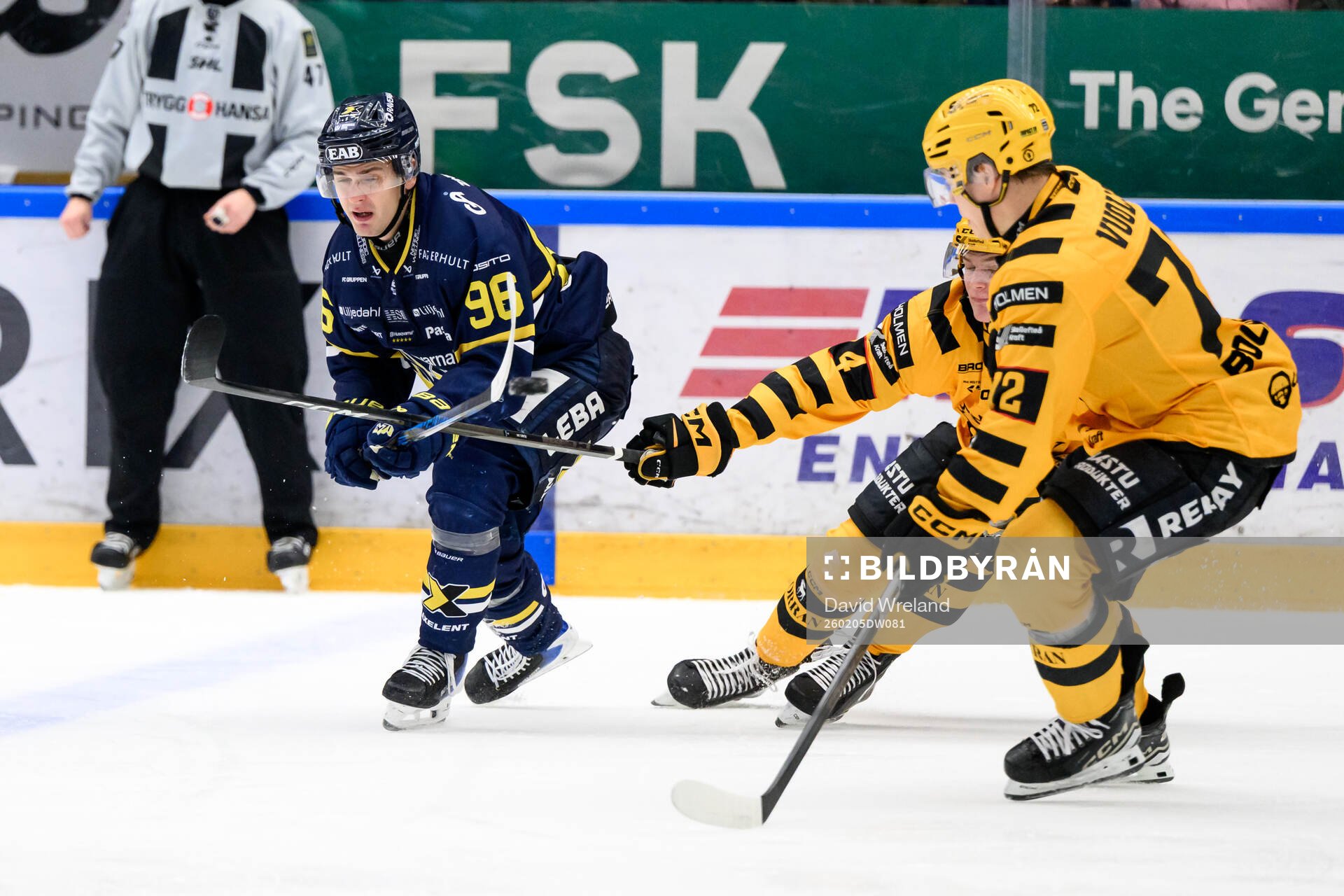 HV71s Nikola Pasic och Skellefteås Rasmus Bergqvist, Oskar