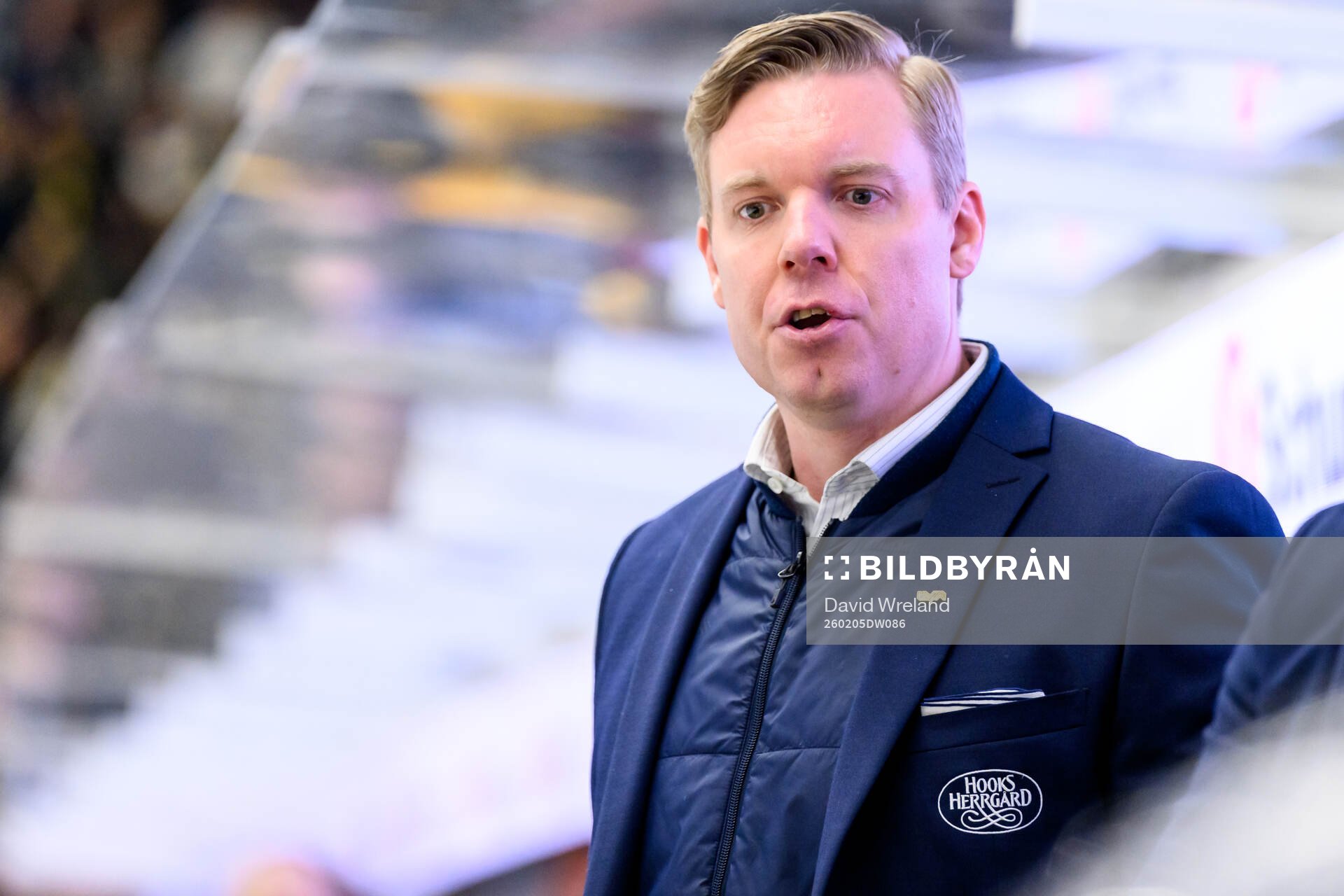 HV71s tränare Anton Blomqvist