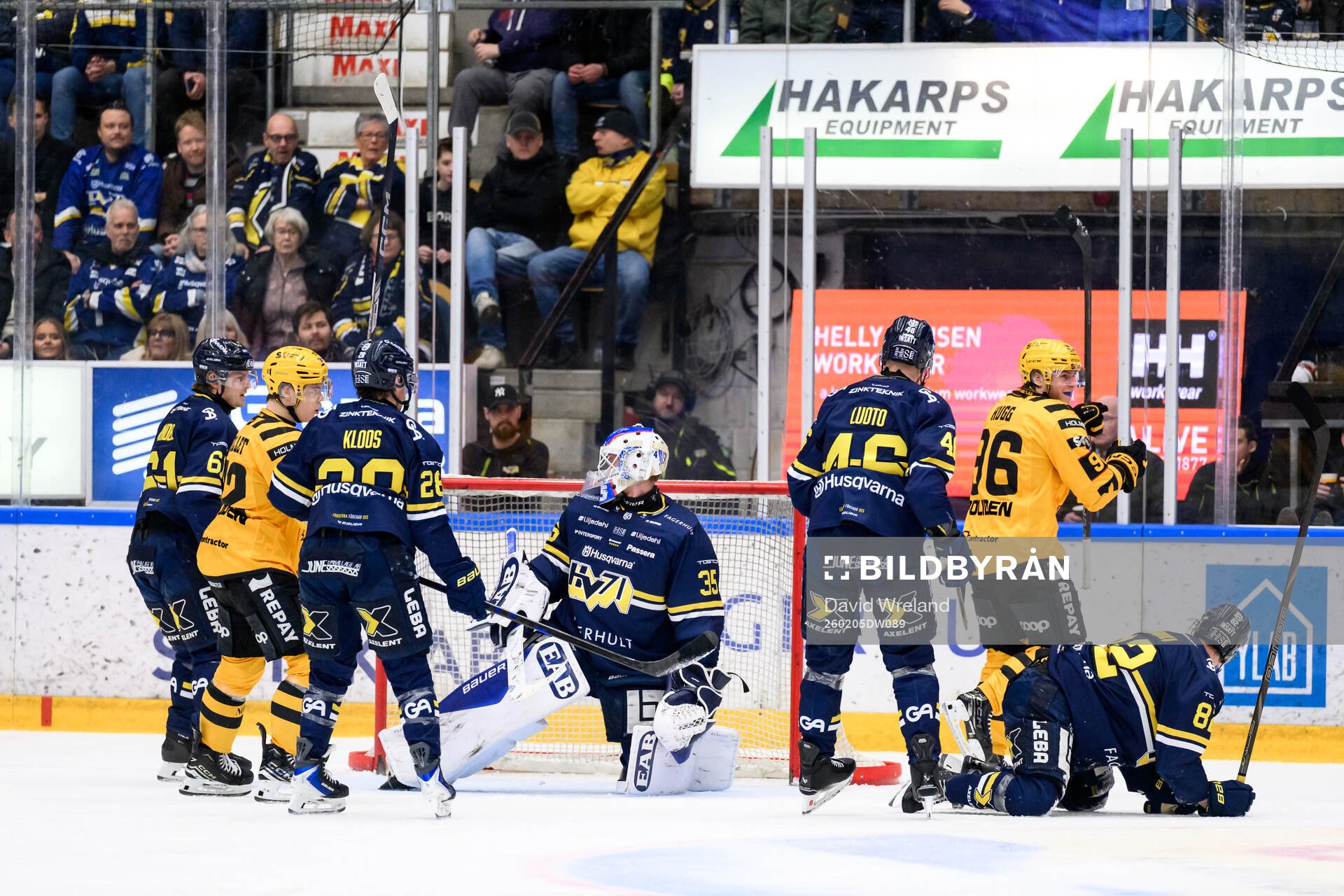 HV71s målvakt Olof Glifford