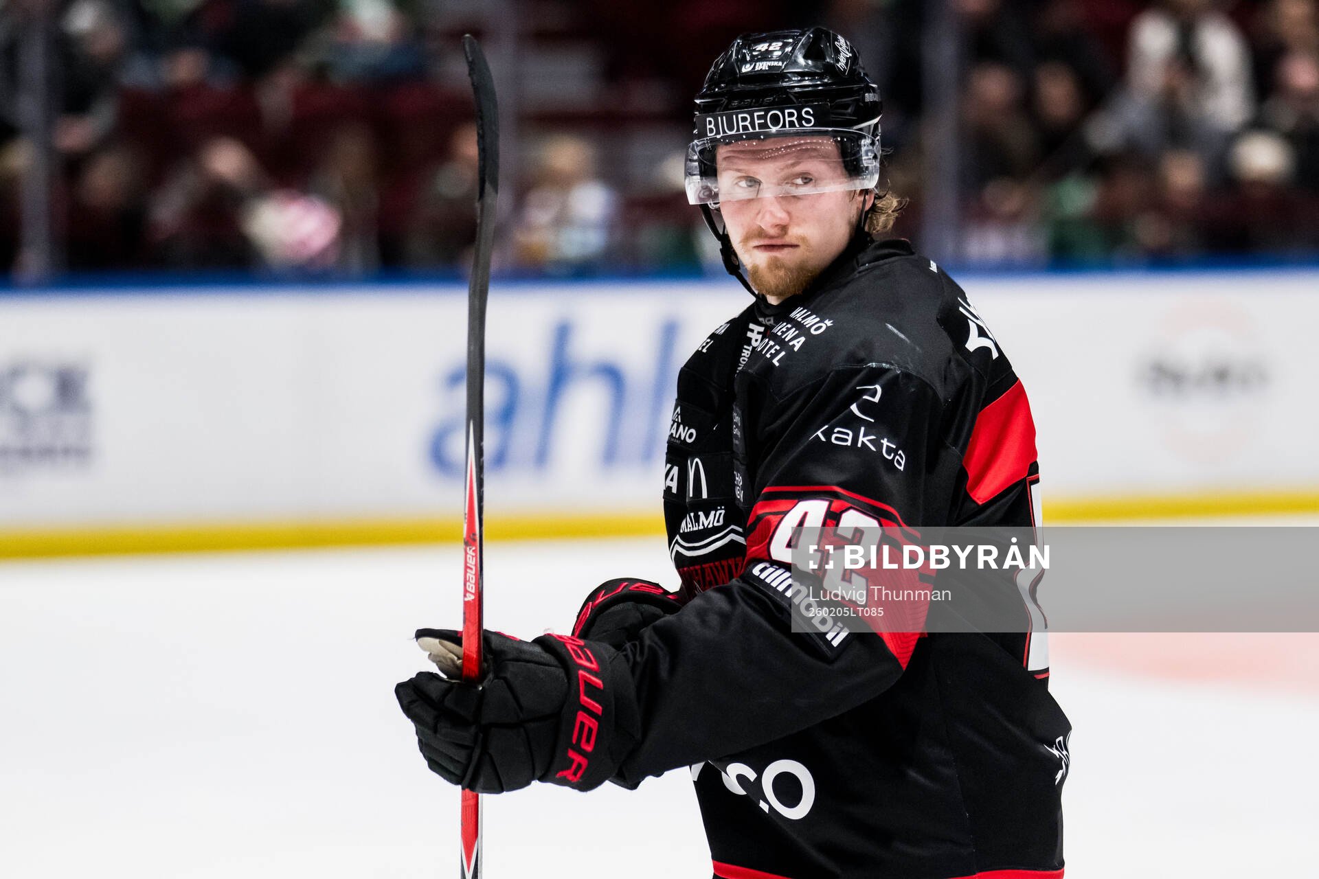 Malmö Redhawks Robin Salo