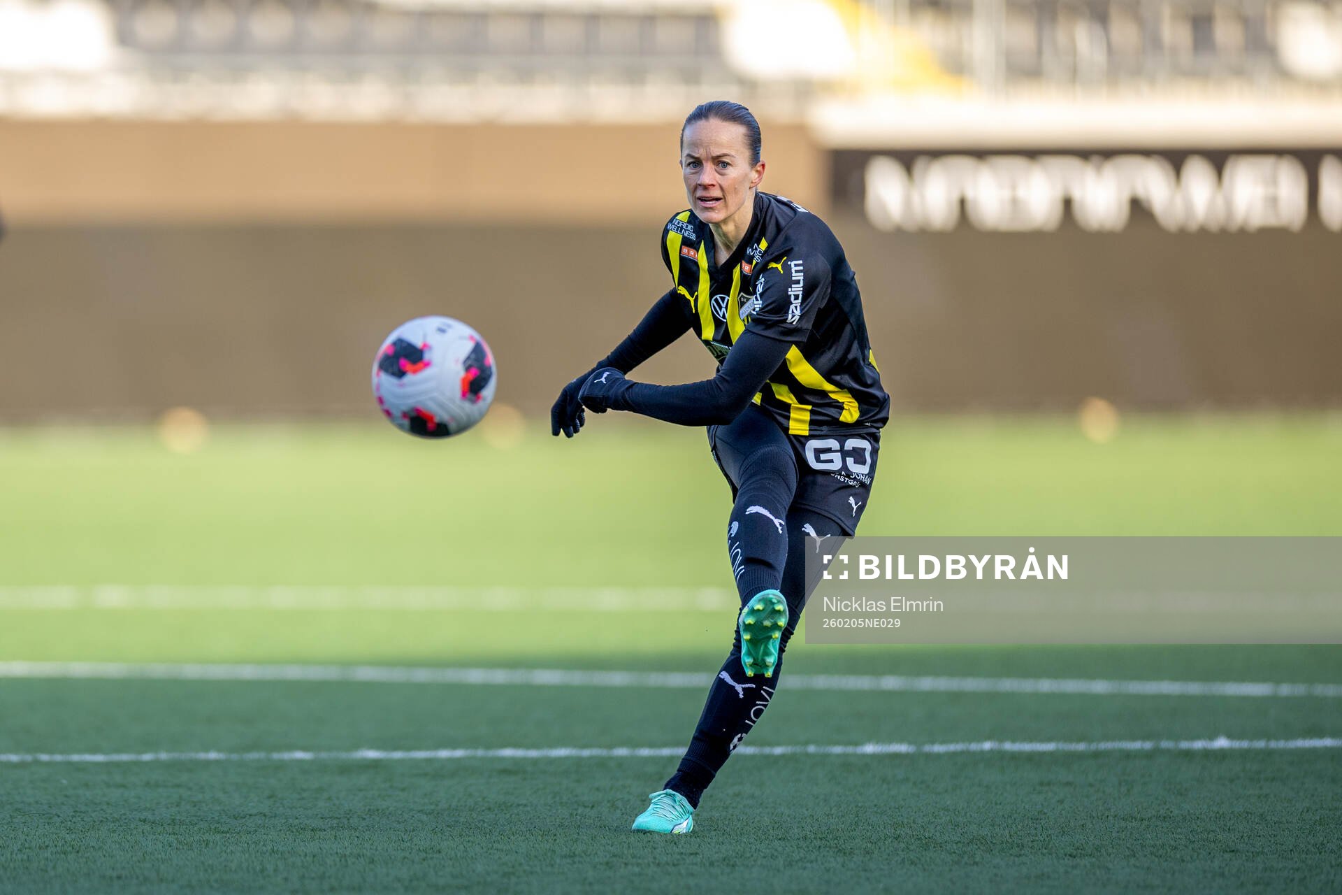 Häckens Aivi Luik