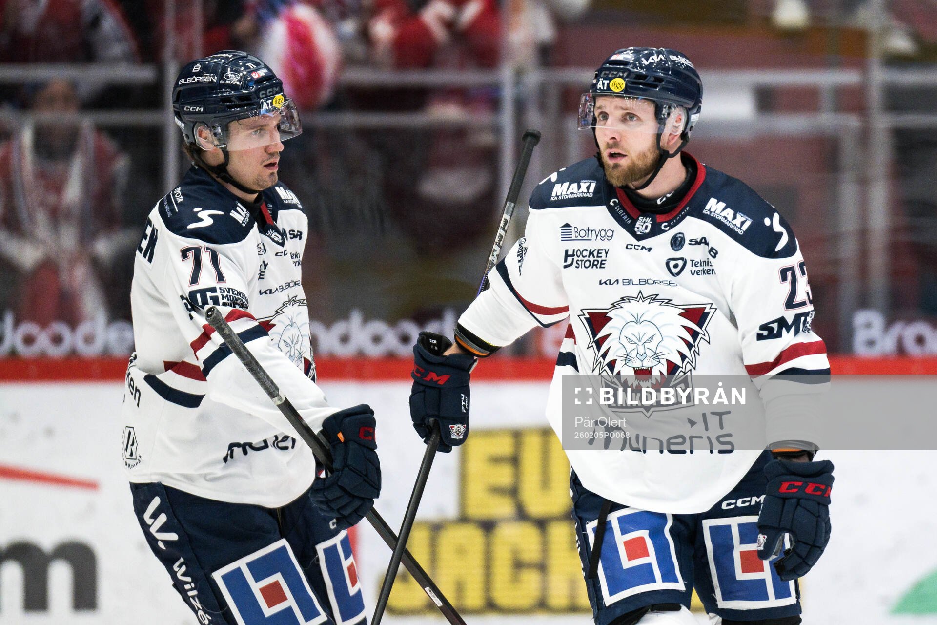 Linköpings Robin Kovacs jublar