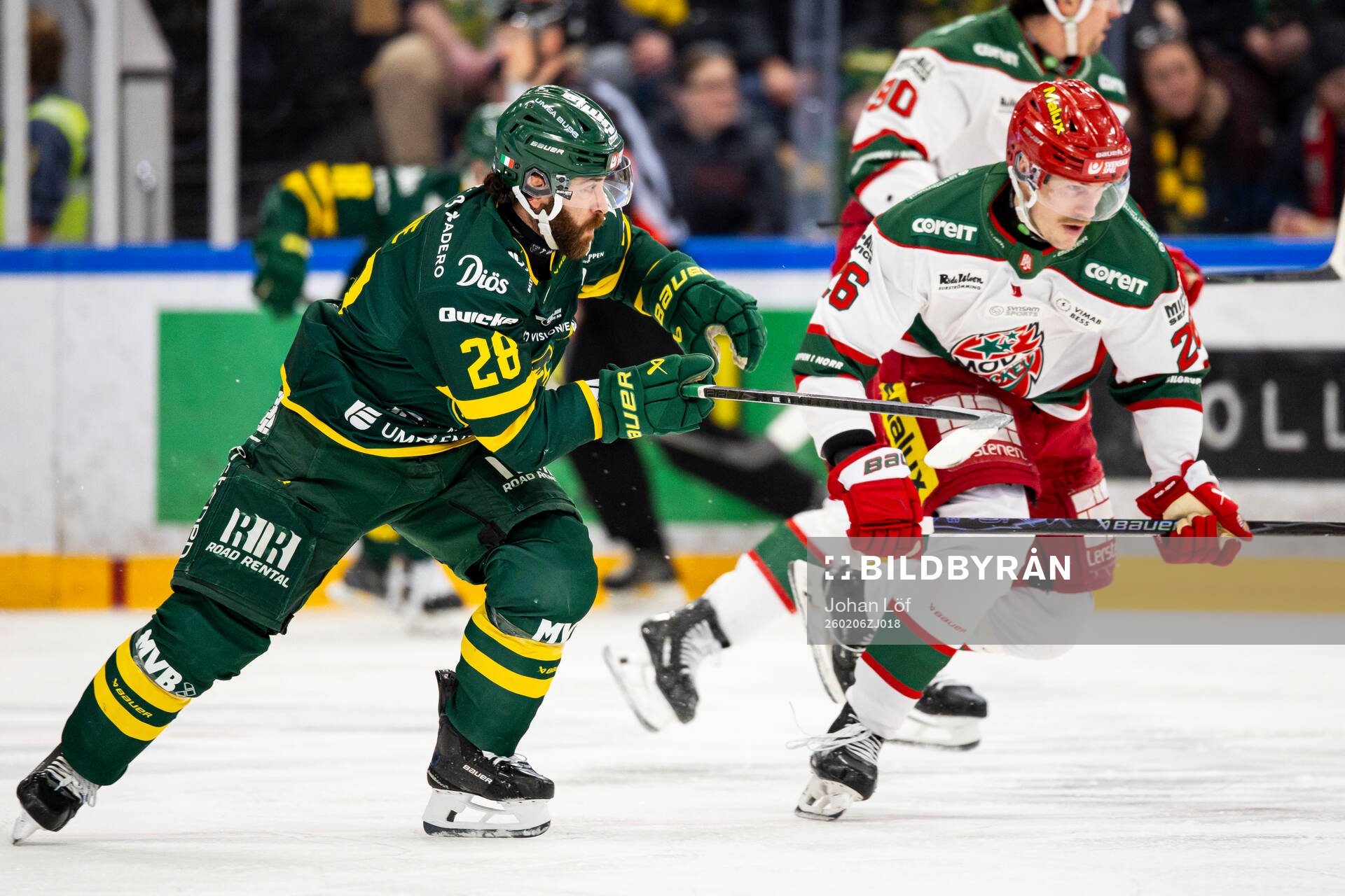 Björklövens Mathew Maione