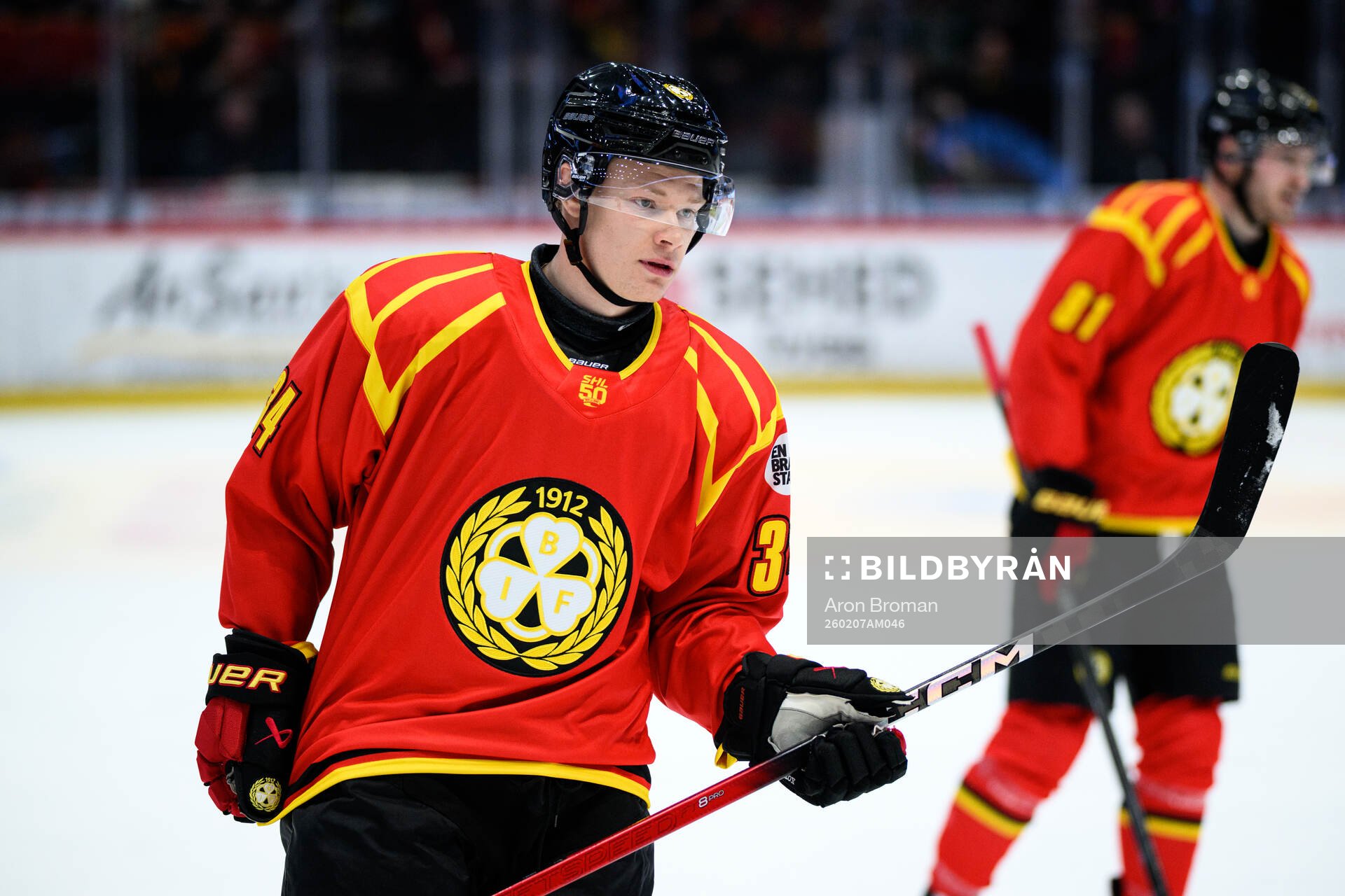 Brynäs Albin Udd