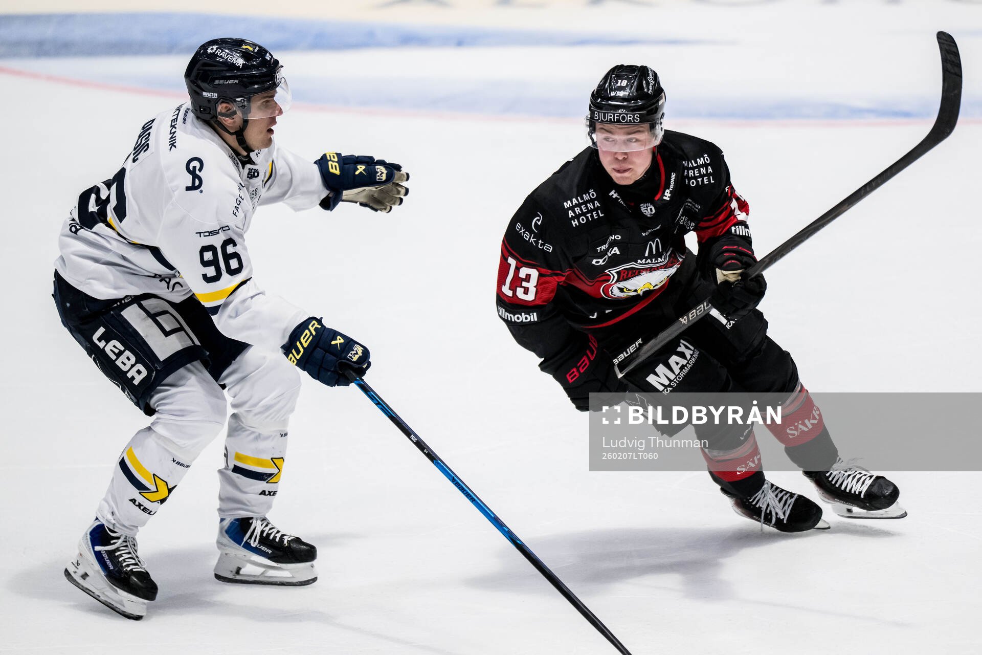 HV71s Nikola Pasic och Malmö Redhawks Petter Vesterheim