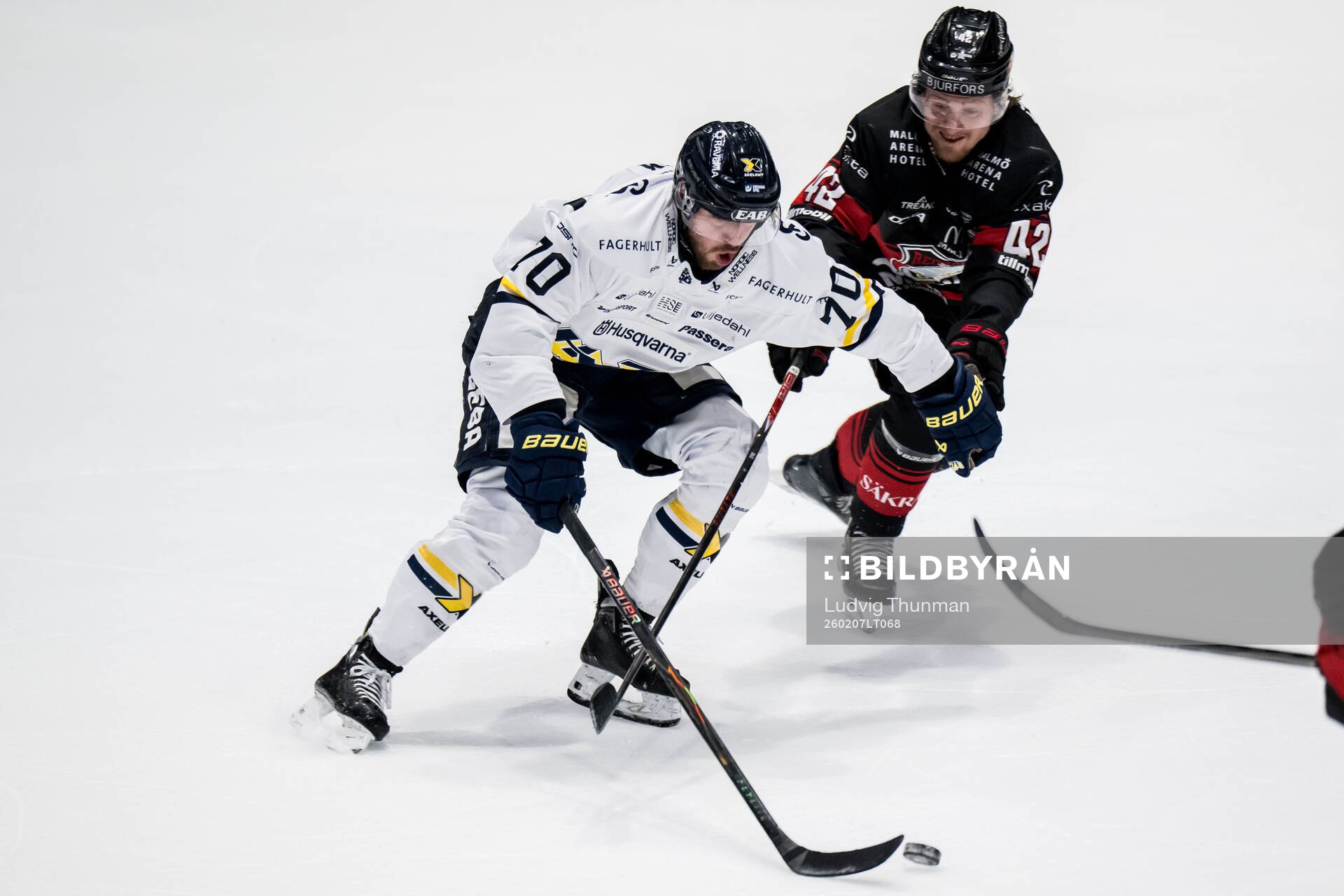 HV71s Lukas Rousek och Malmö Redhawks Robin Salo
