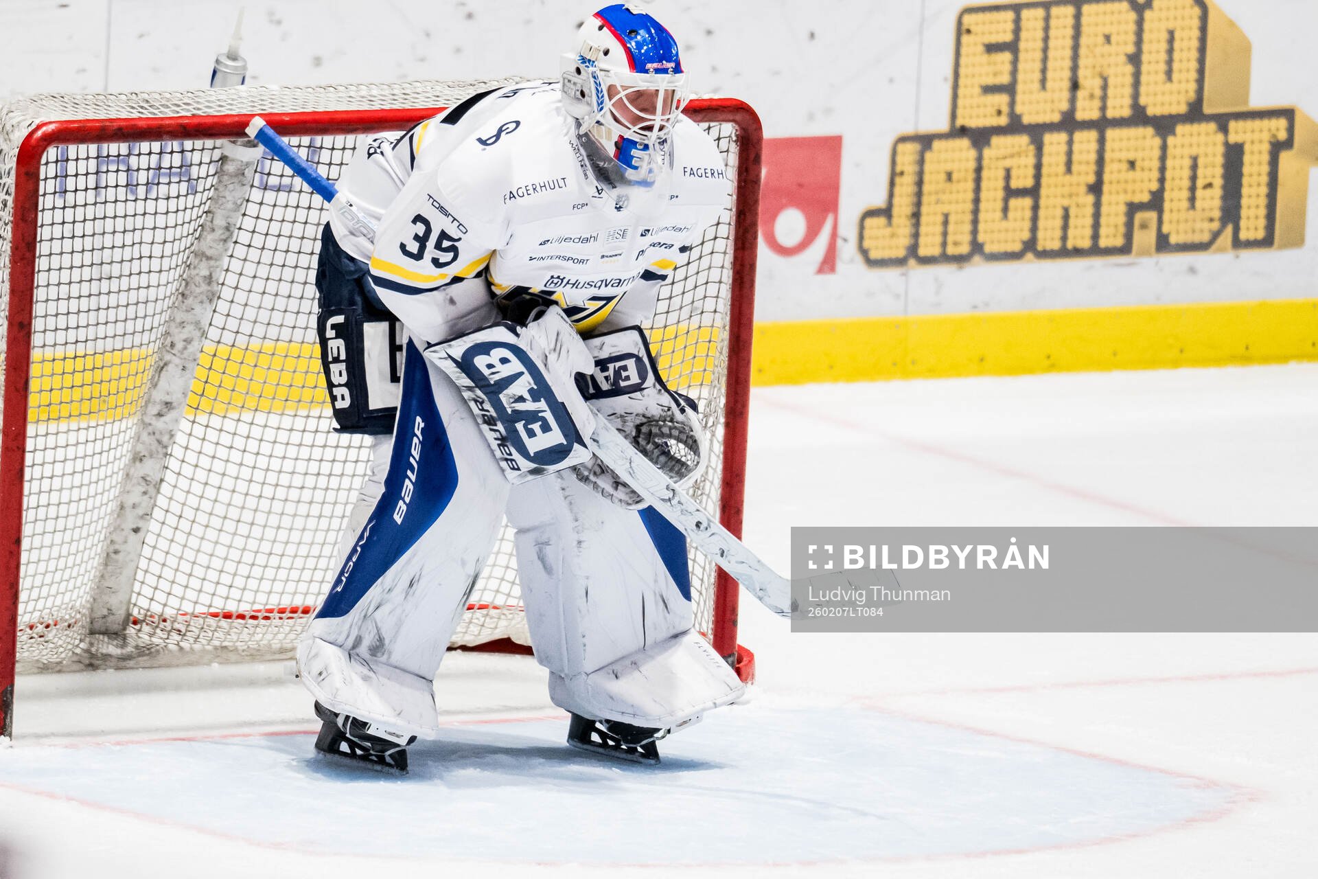 HV71s målvakt Olof Glifford