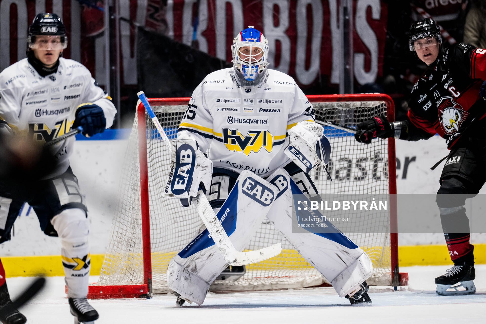 HV71s målvakt Olof Glifford