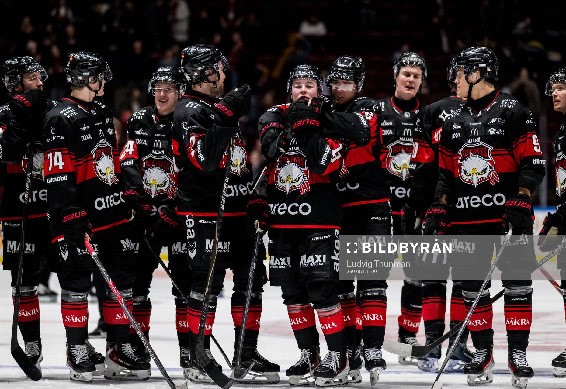 Malmö Redhawks spelare jublar