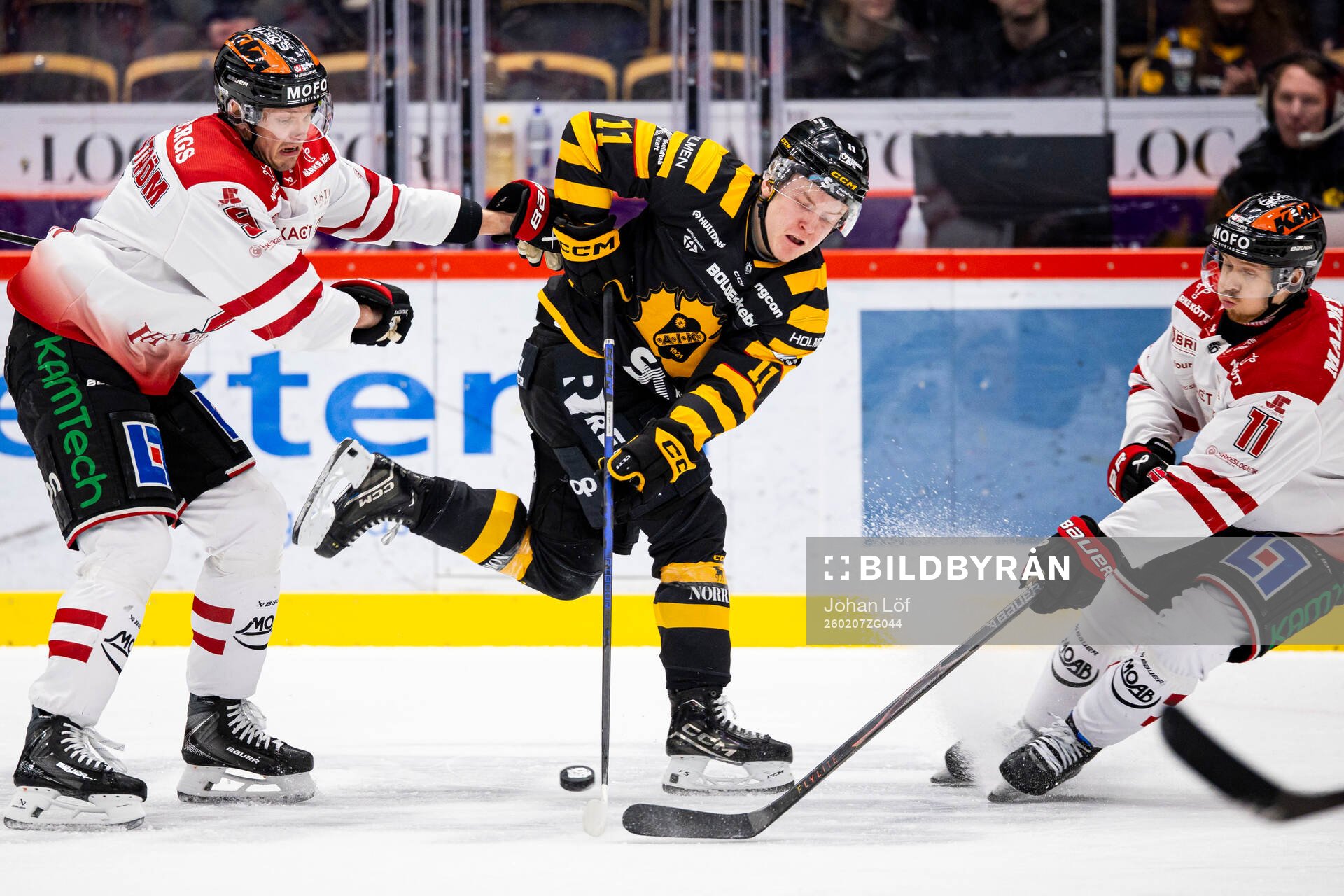Skellefteås Theo Landström