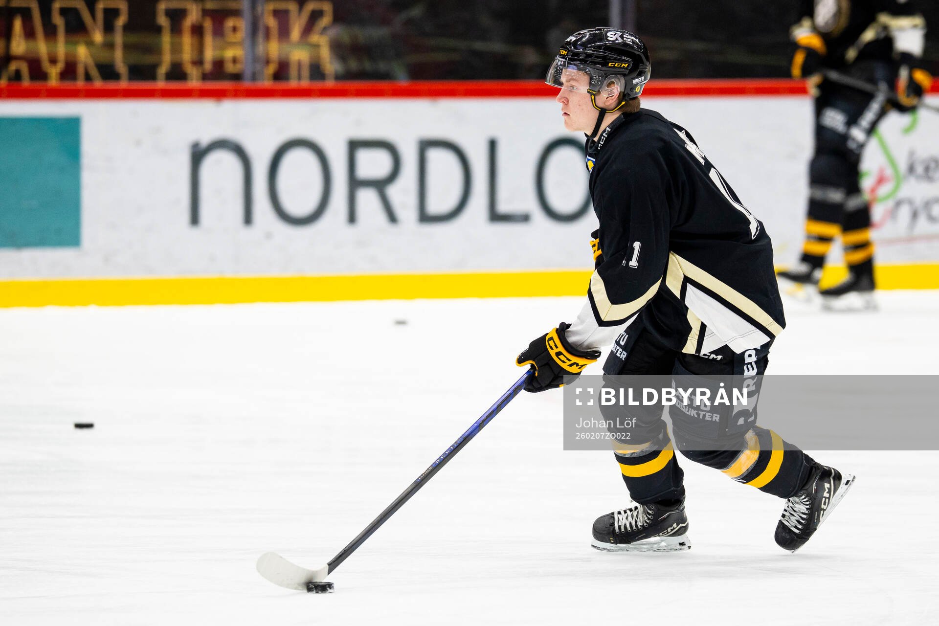Skellefteås Theo Landström