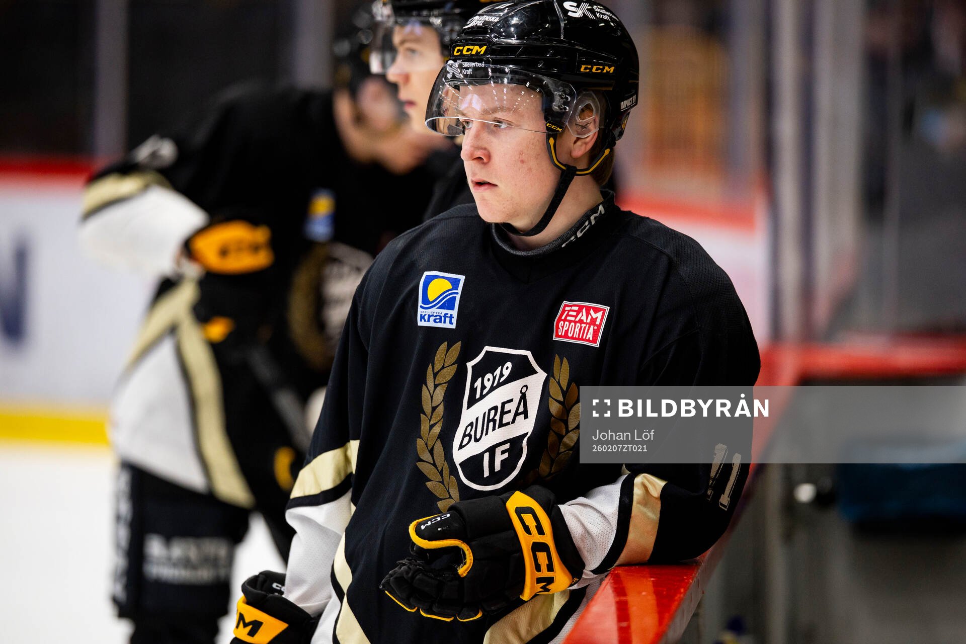 Skellefteås Theo Landström