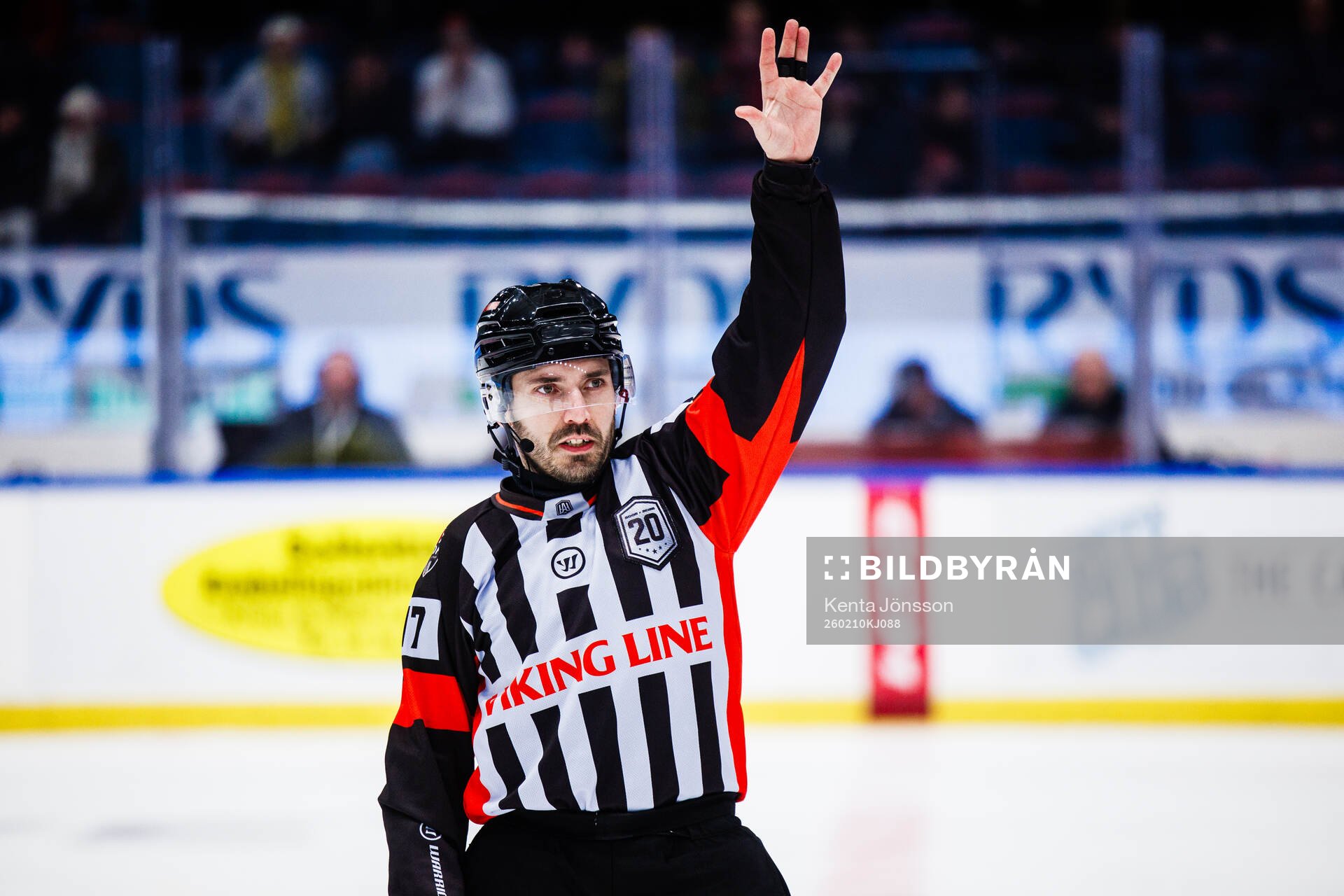domare Niklas Johansson